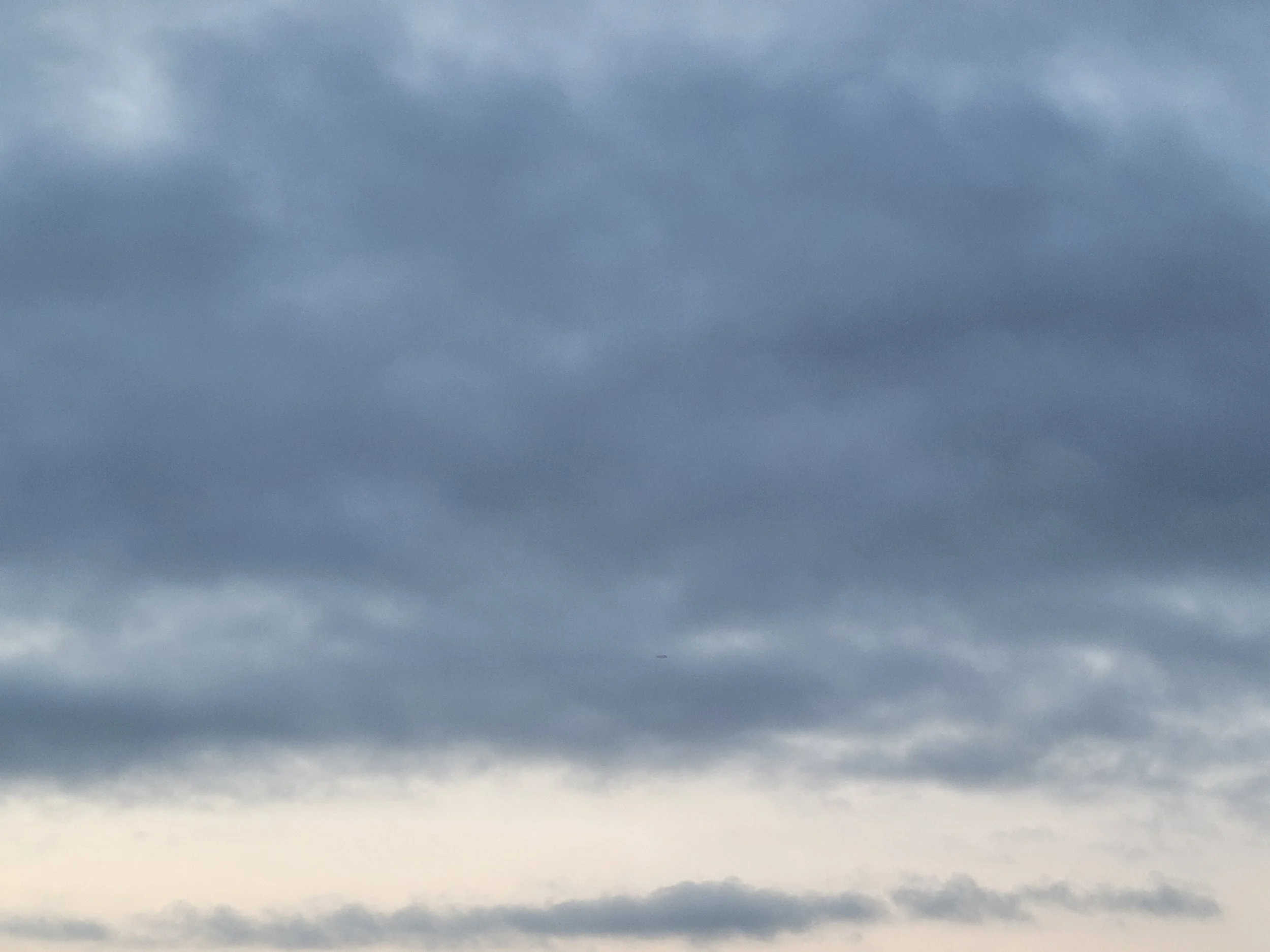 20220920_065016.jpg