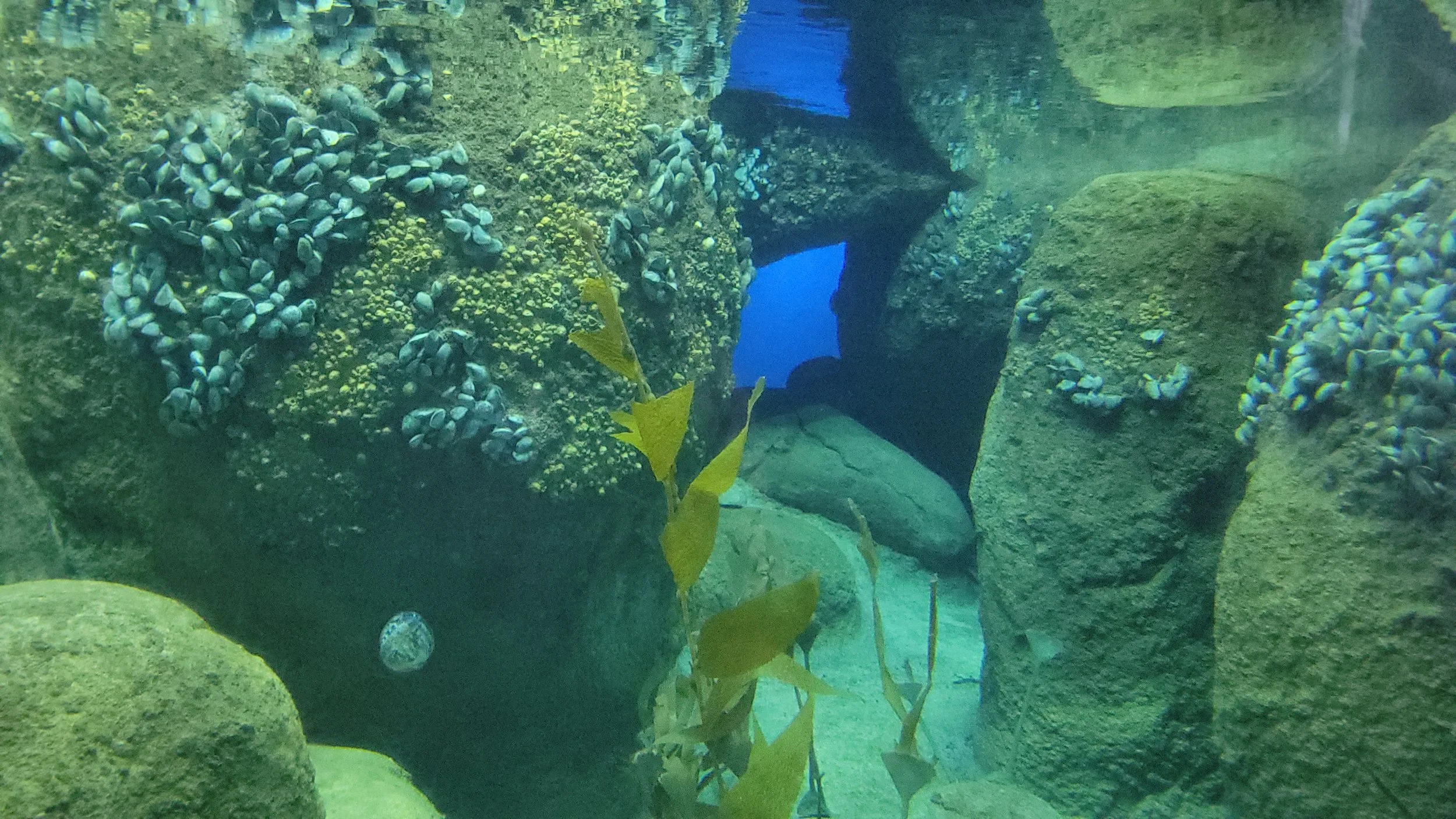 20221009_150455.jpg