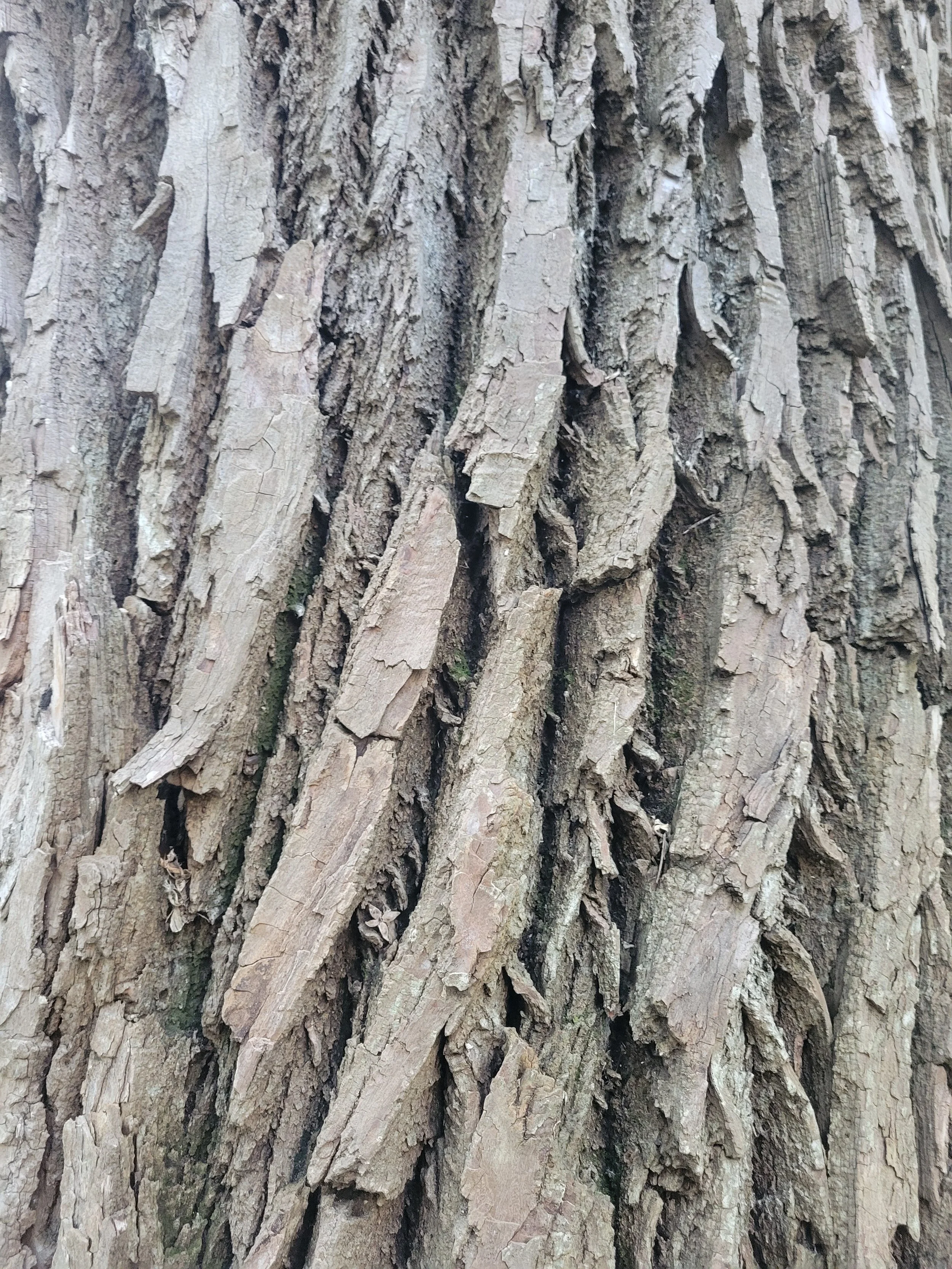 20220820_182754.jpg