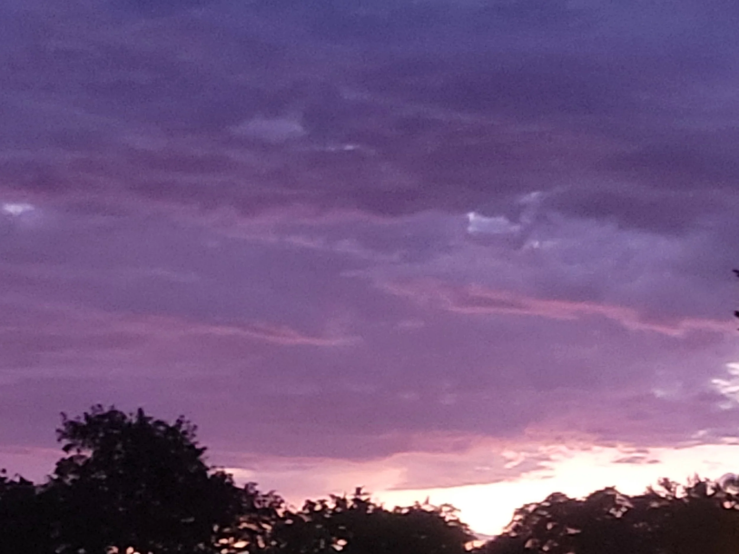 20220930_063823.jpg