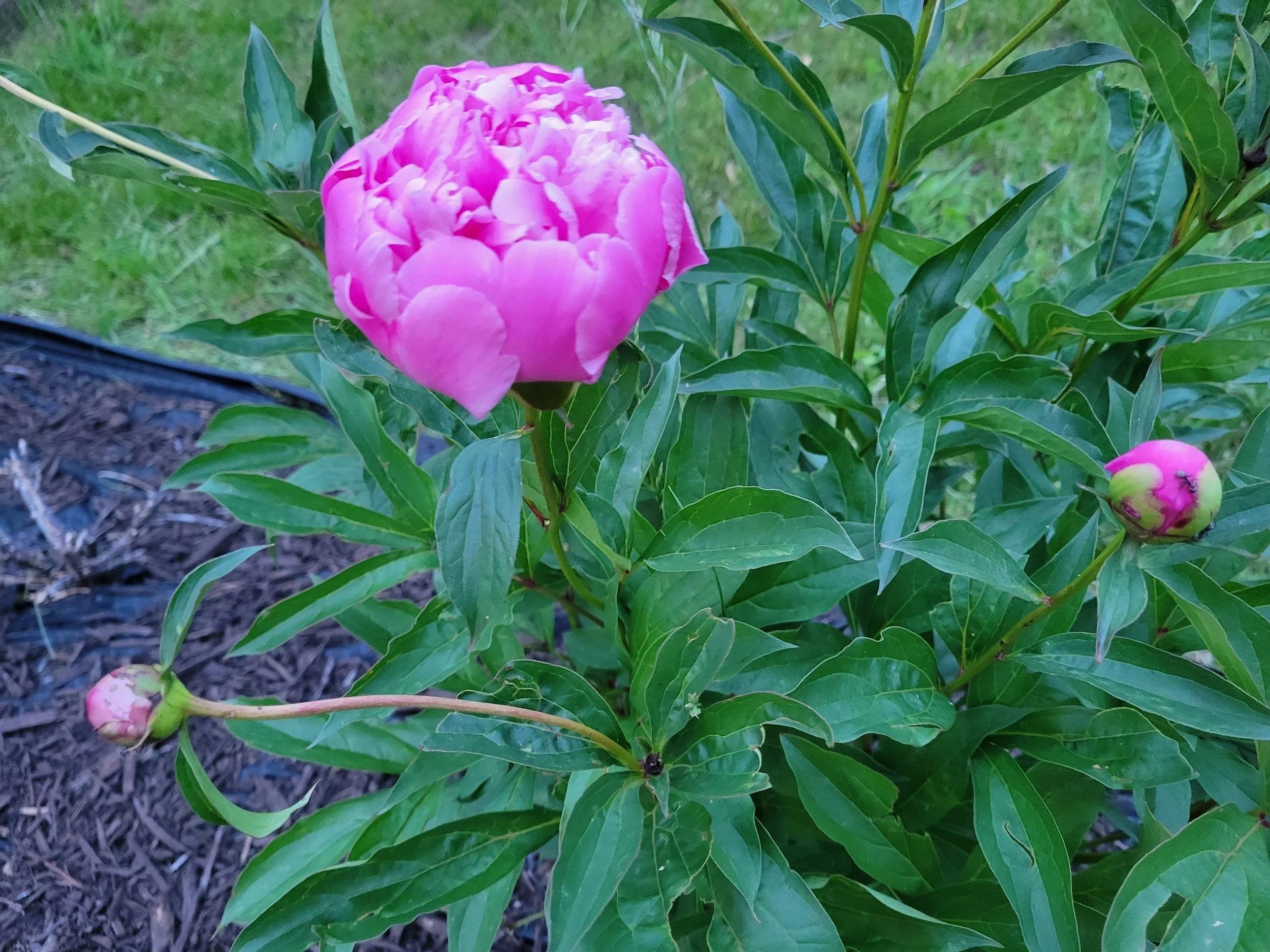 20220605_205214.jpg