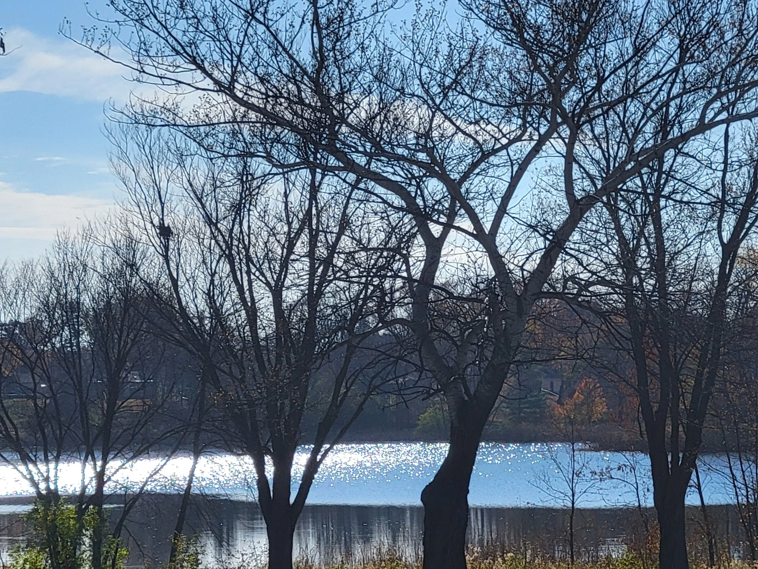 20221030_140530.jpg