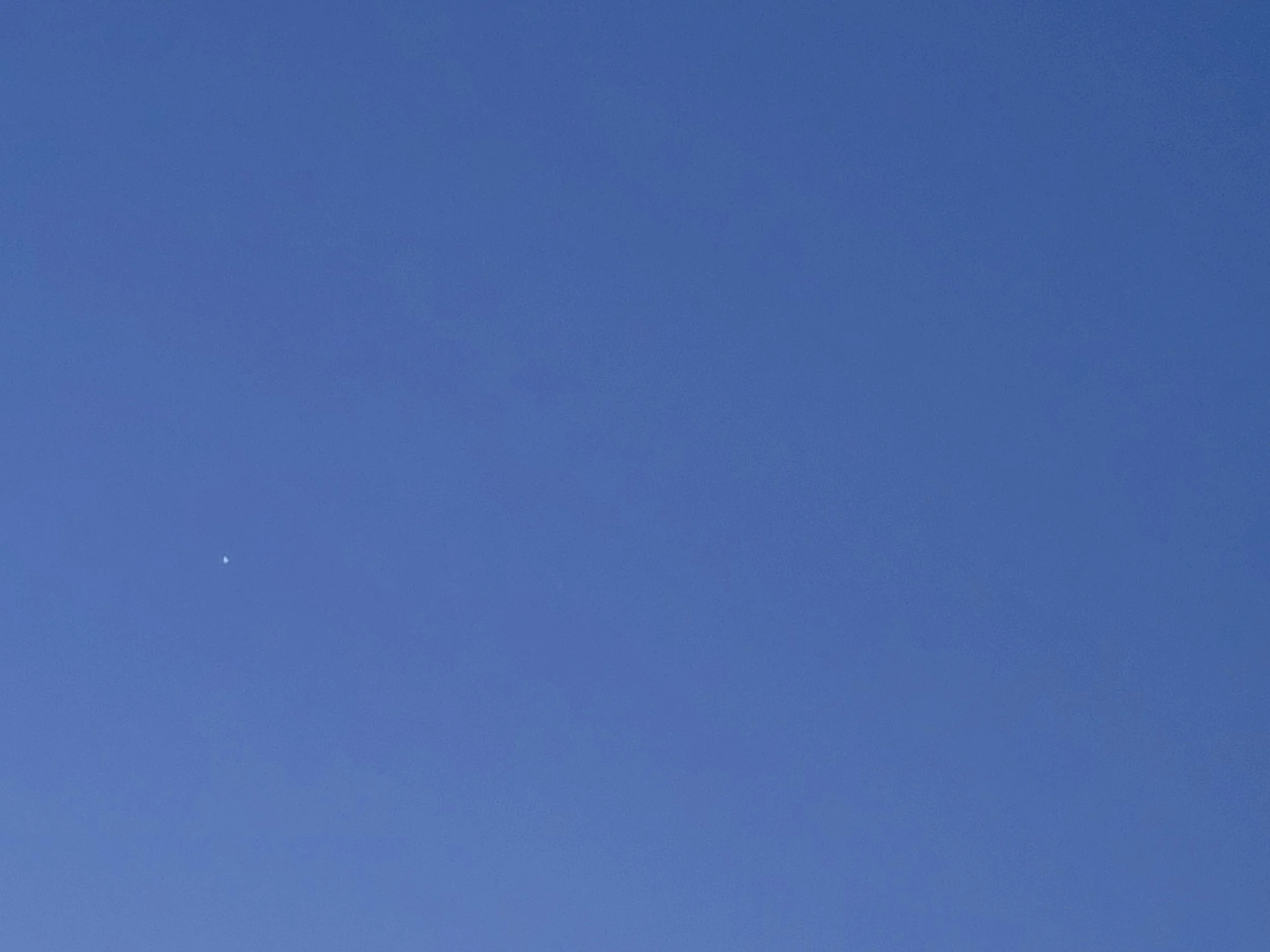 20220927_063644.jpg