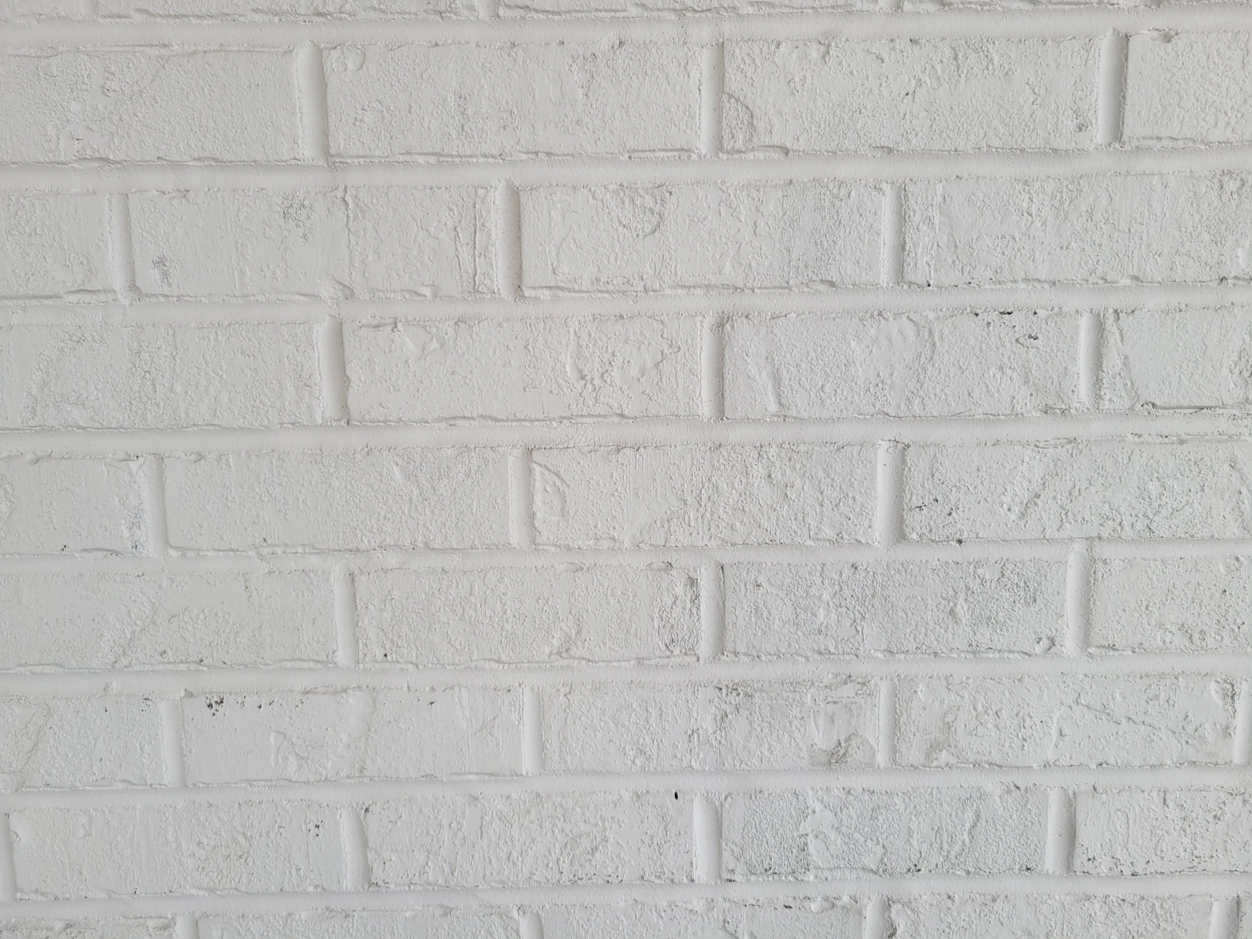 20220731_190934.jpg