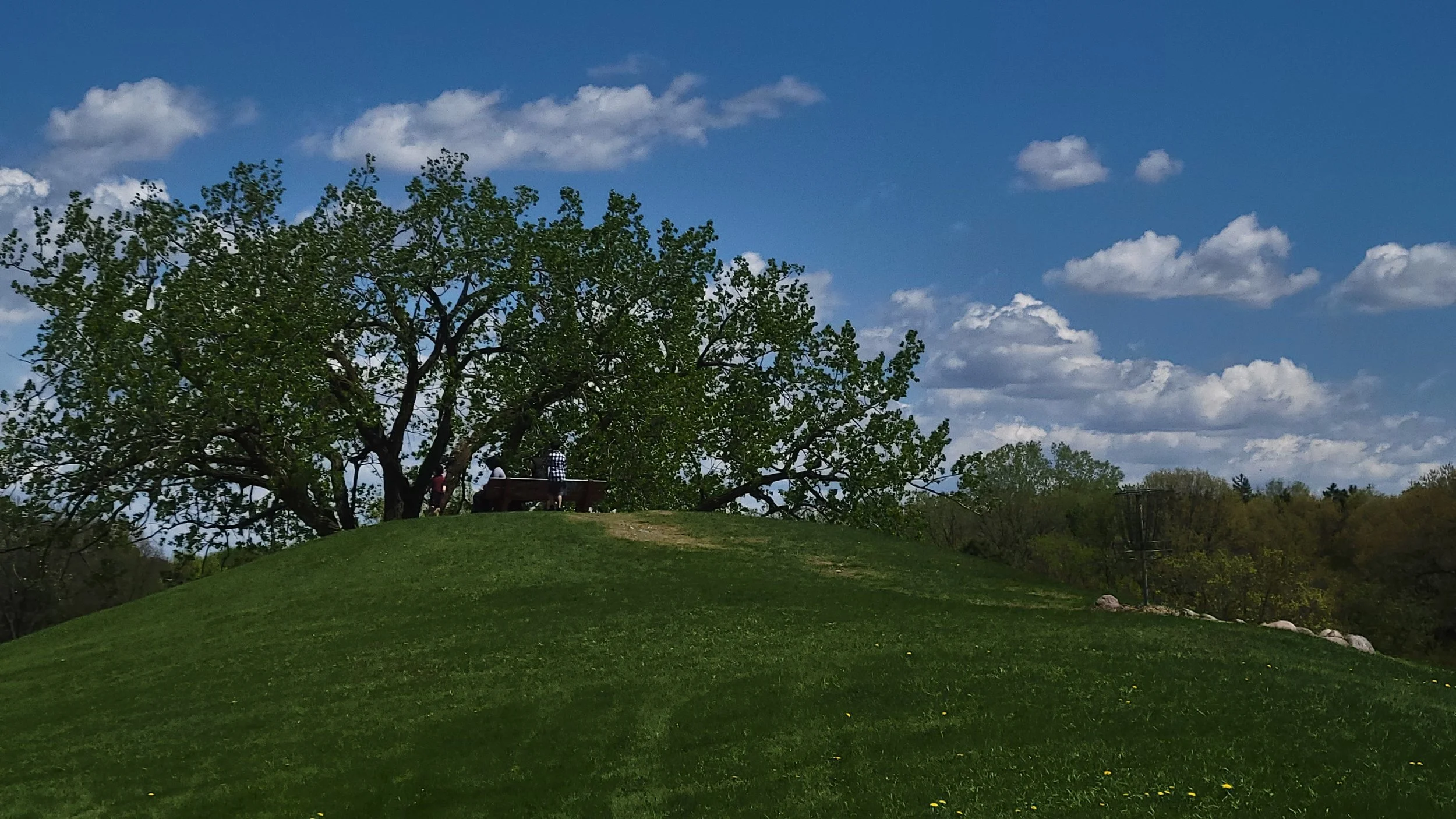 20220515_123454.jpg