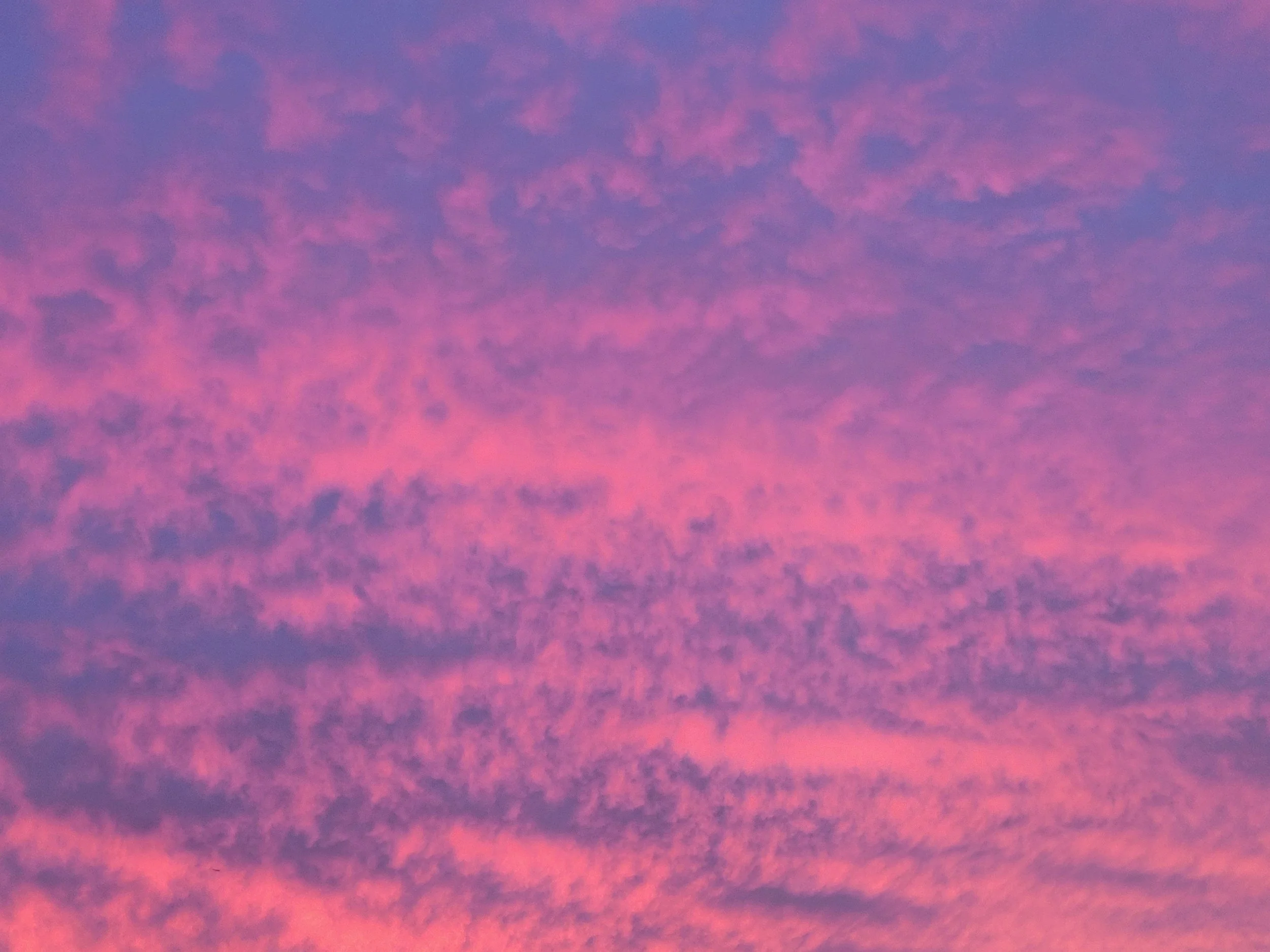 20221104_180959.jpg