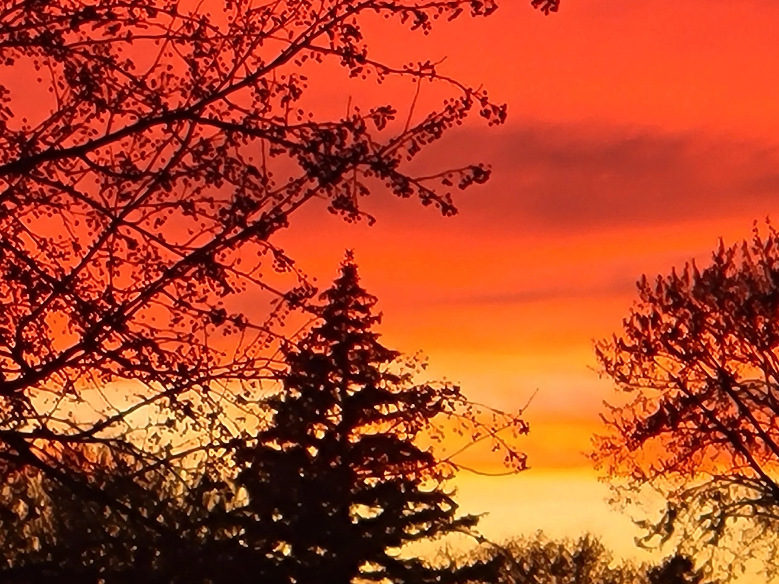 20221104_181015.jpg