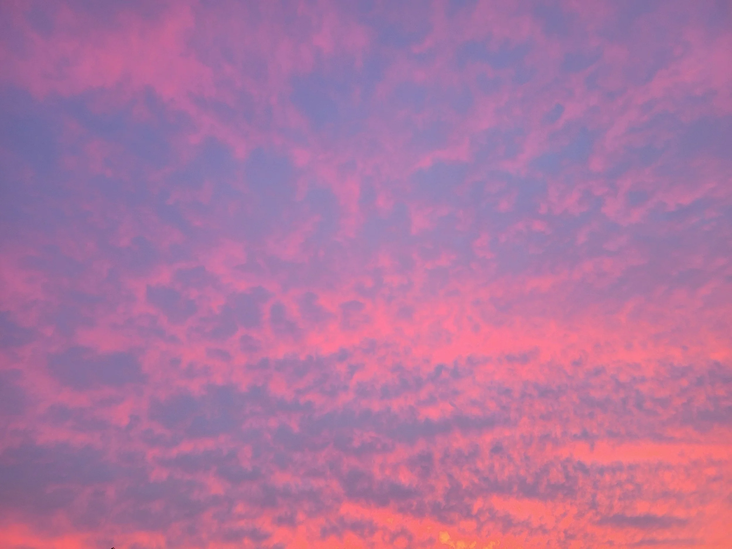 20221104_181032.jpg