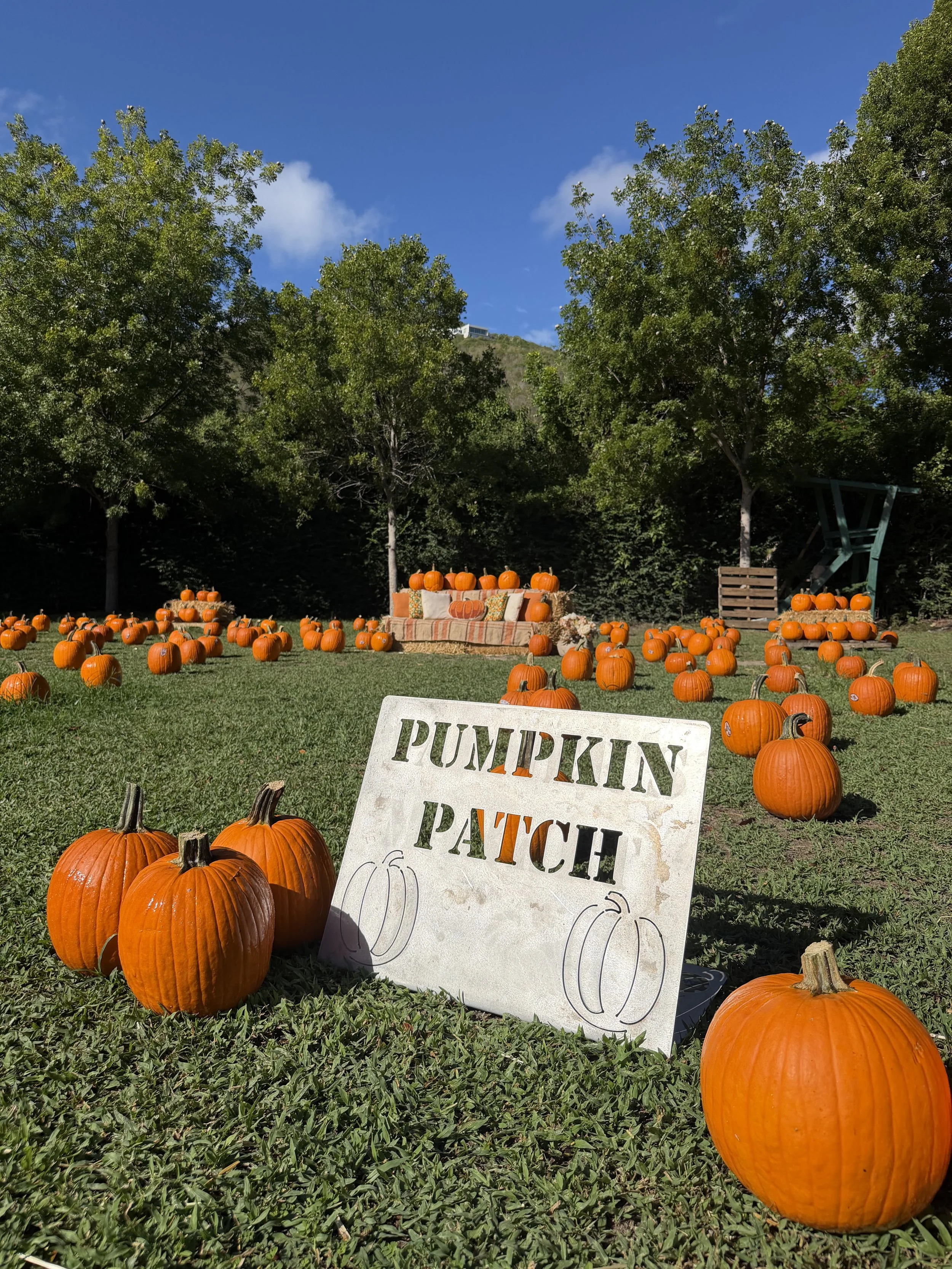 Harvest Festival &amp; Pumpkin Patch Raises $23,500 for Know Your Rights &amp; Clean Slate Programs