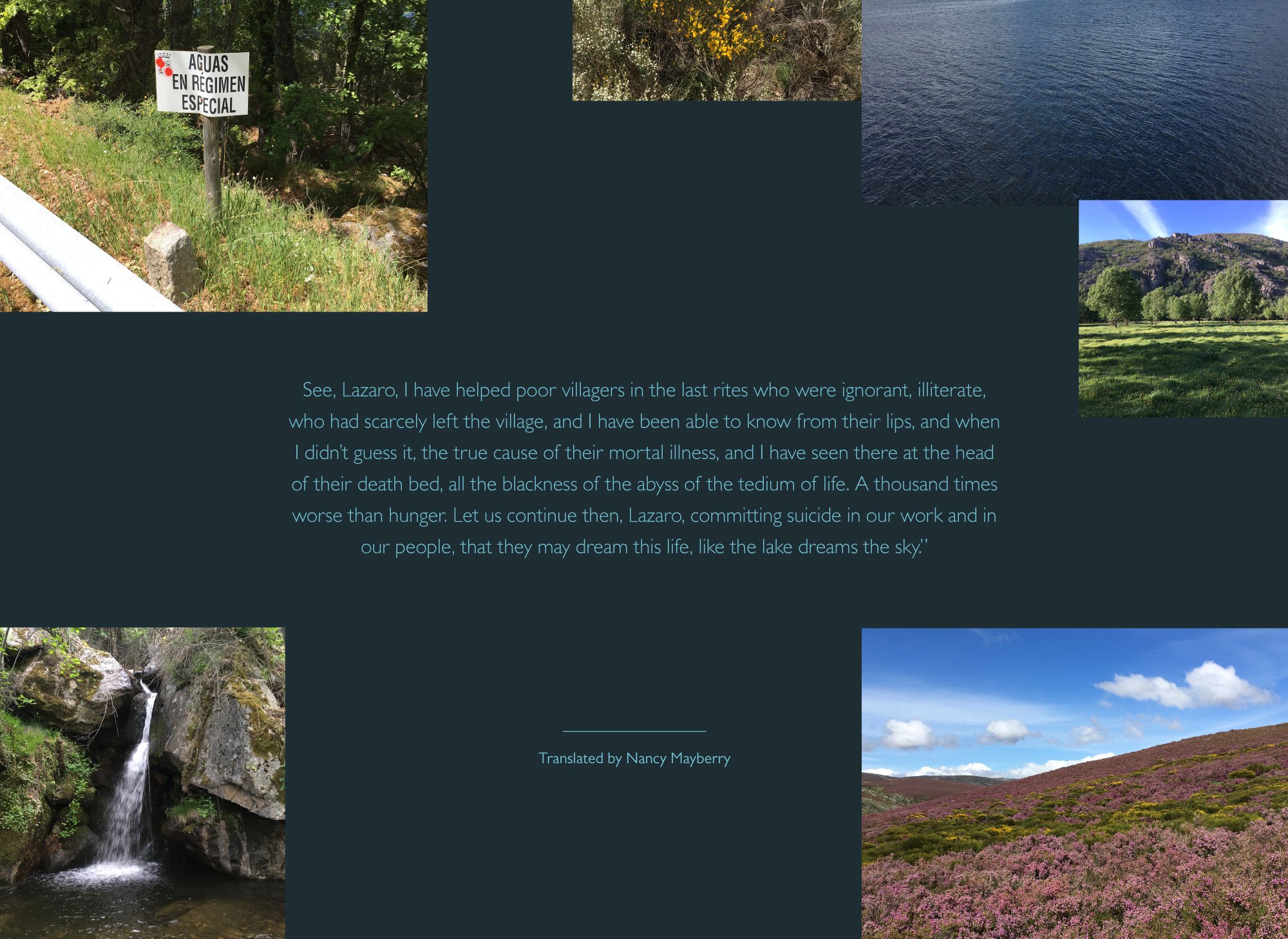 Artboard-1-copy-20.jpg