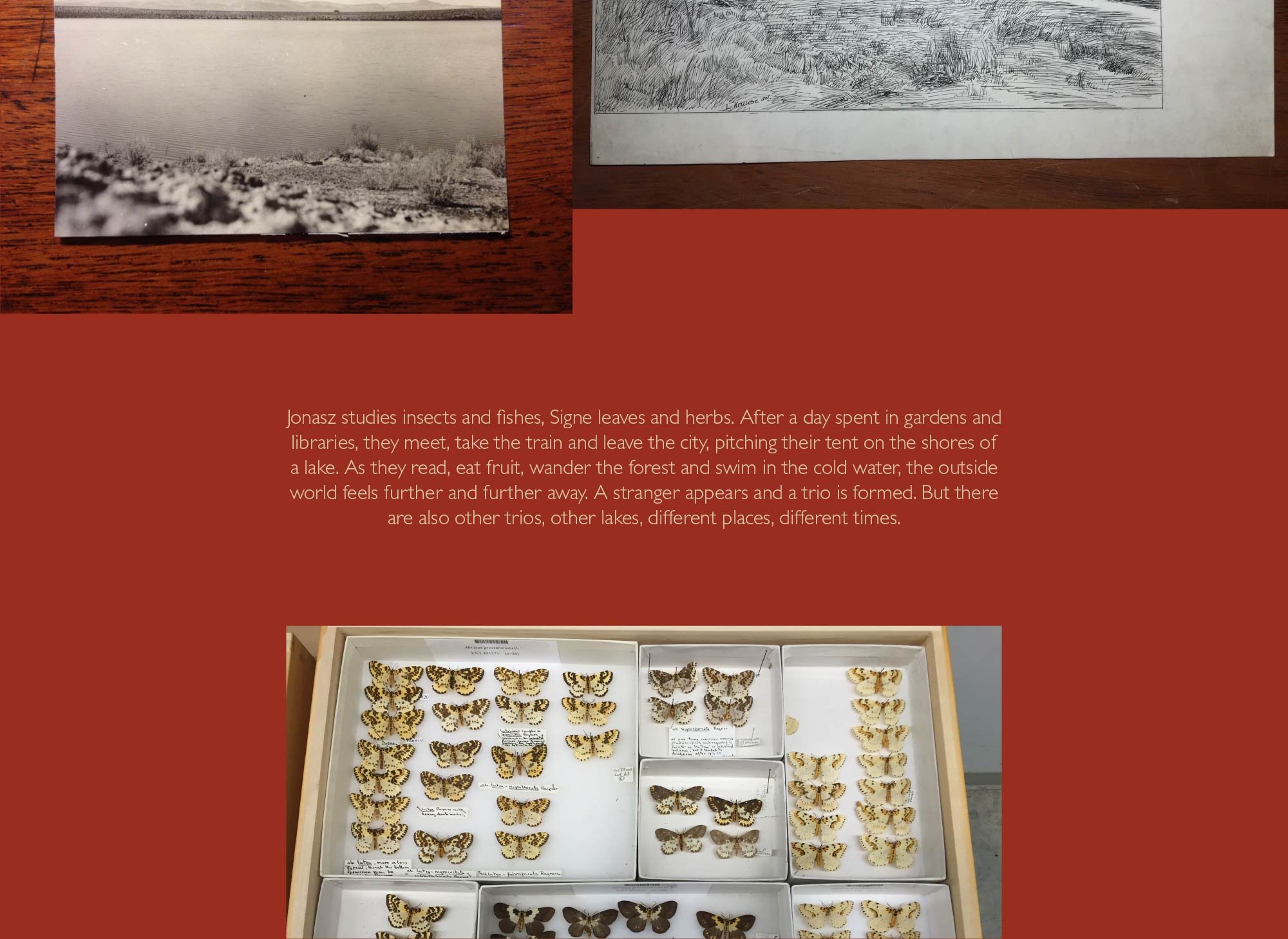 Artboard 1 copy 5.jpg