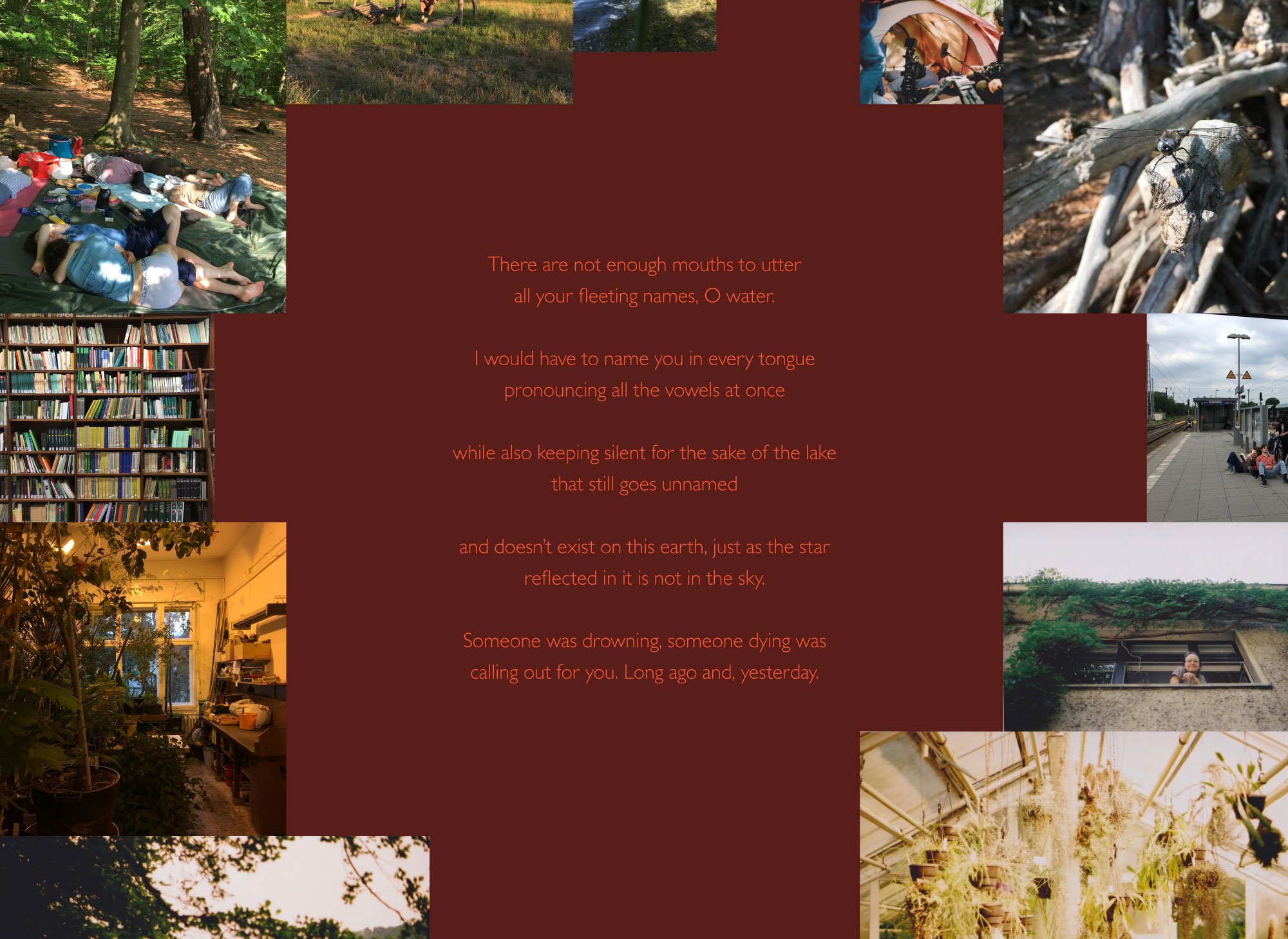 Artboard-1-copy-13.jpg