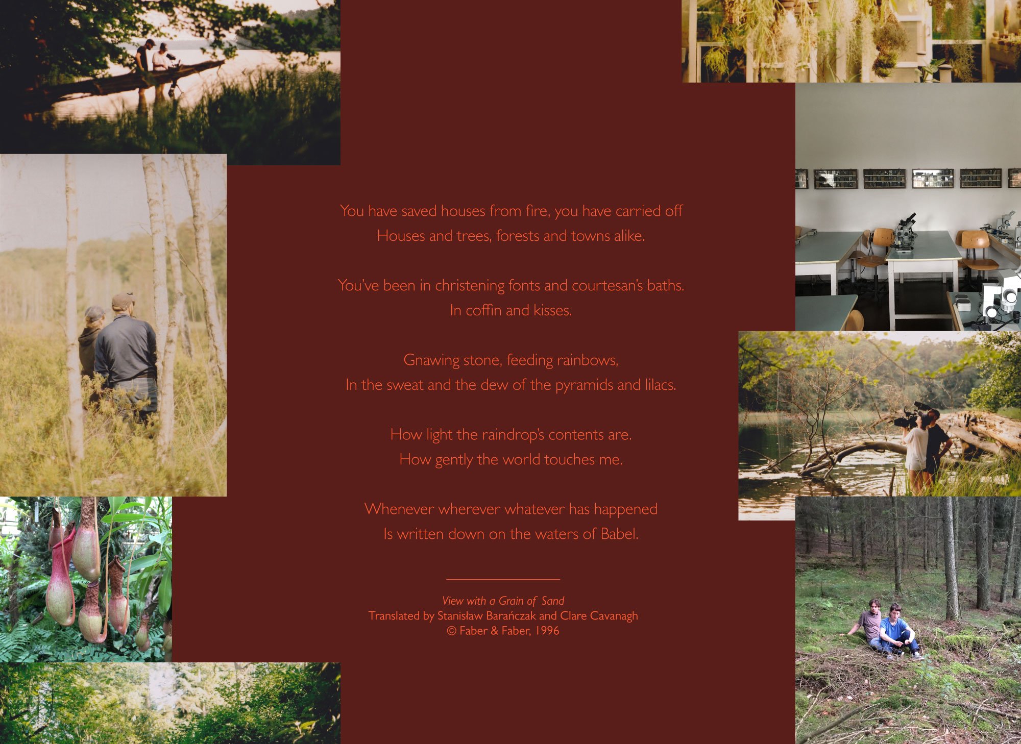 Artboard-1-copy-14.jpg