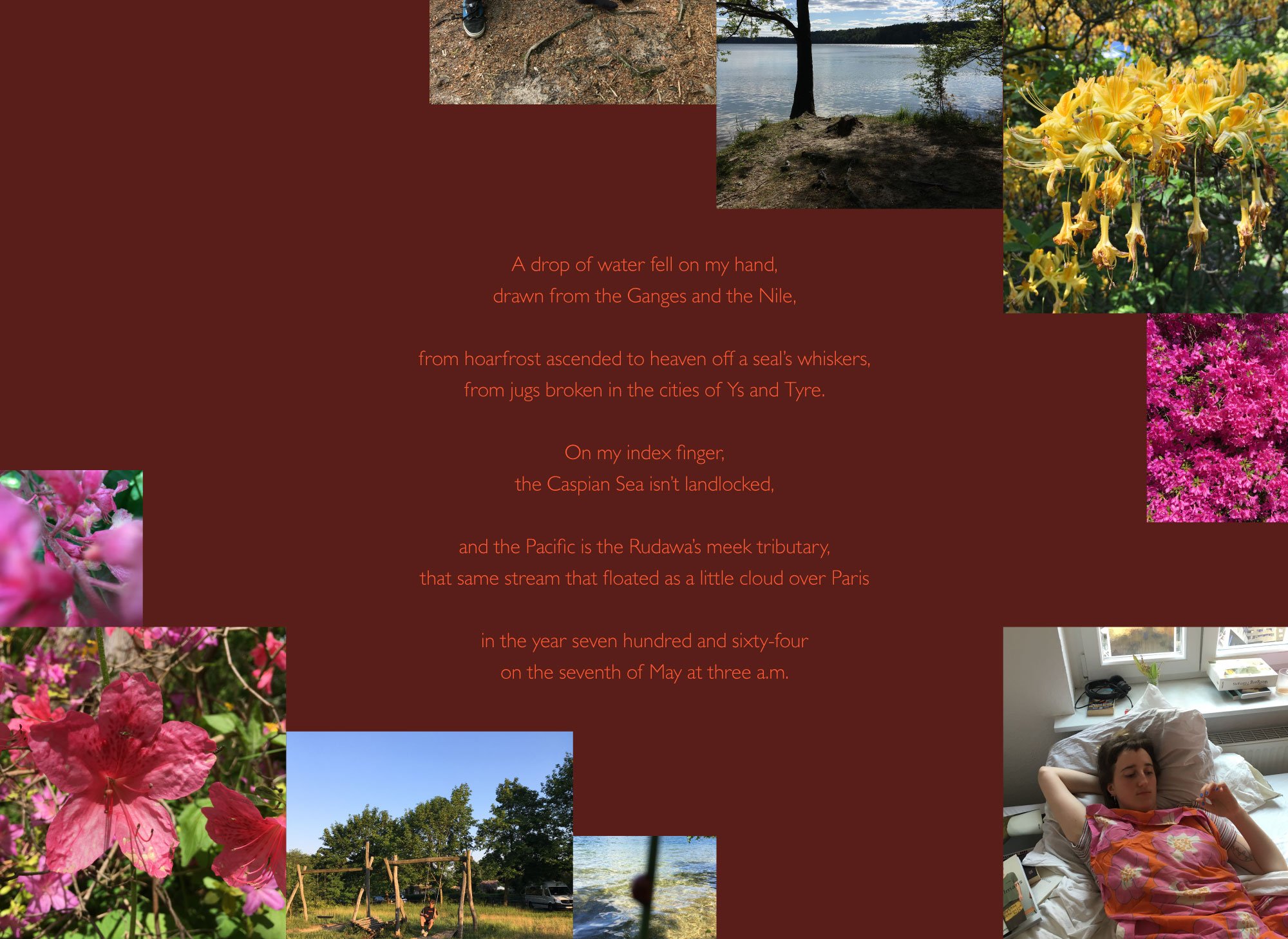 Artboard-1-copy-12.jpg