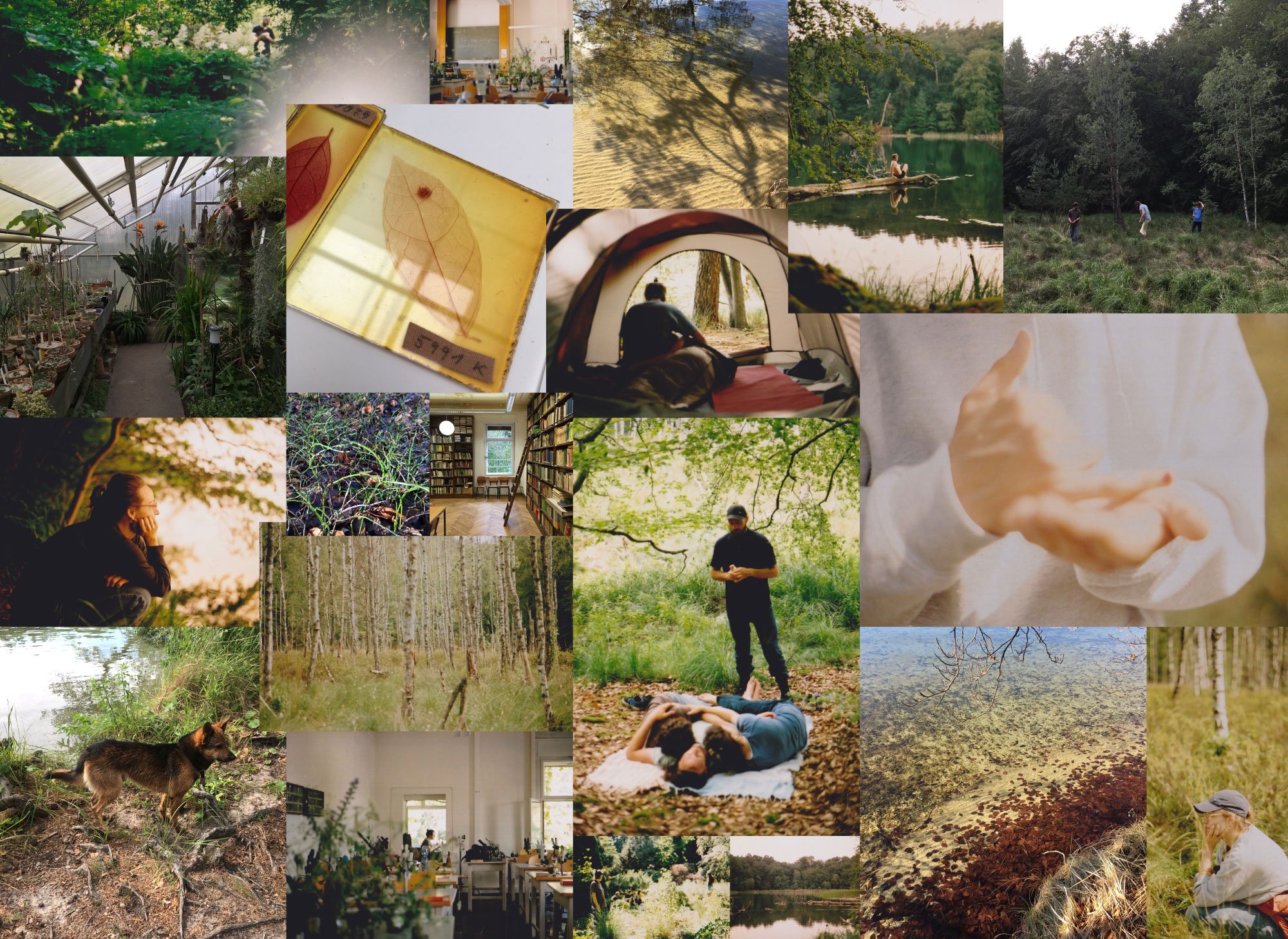 Artboard-1-copy-15.jpg