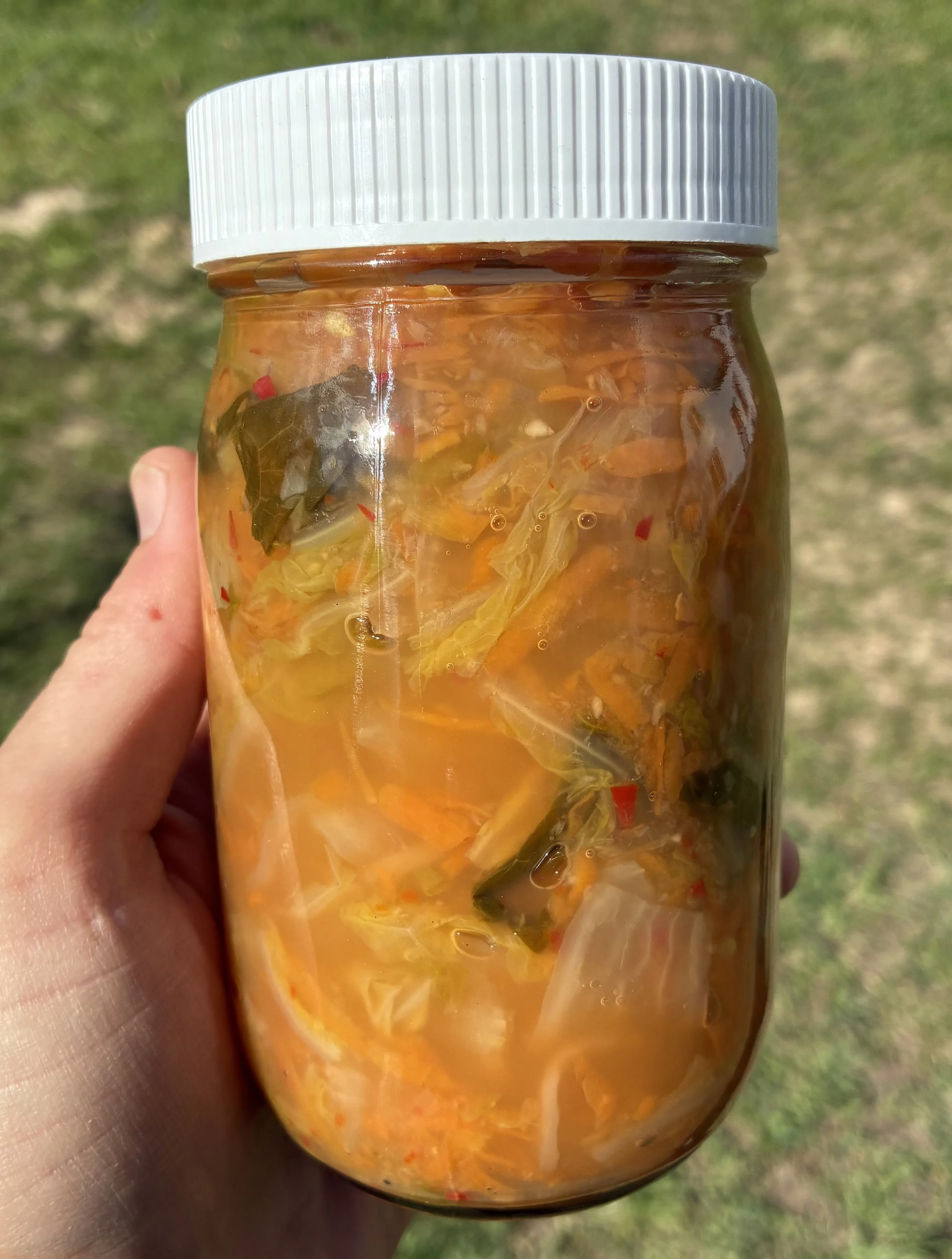 Kimchi Preorder & Bulk