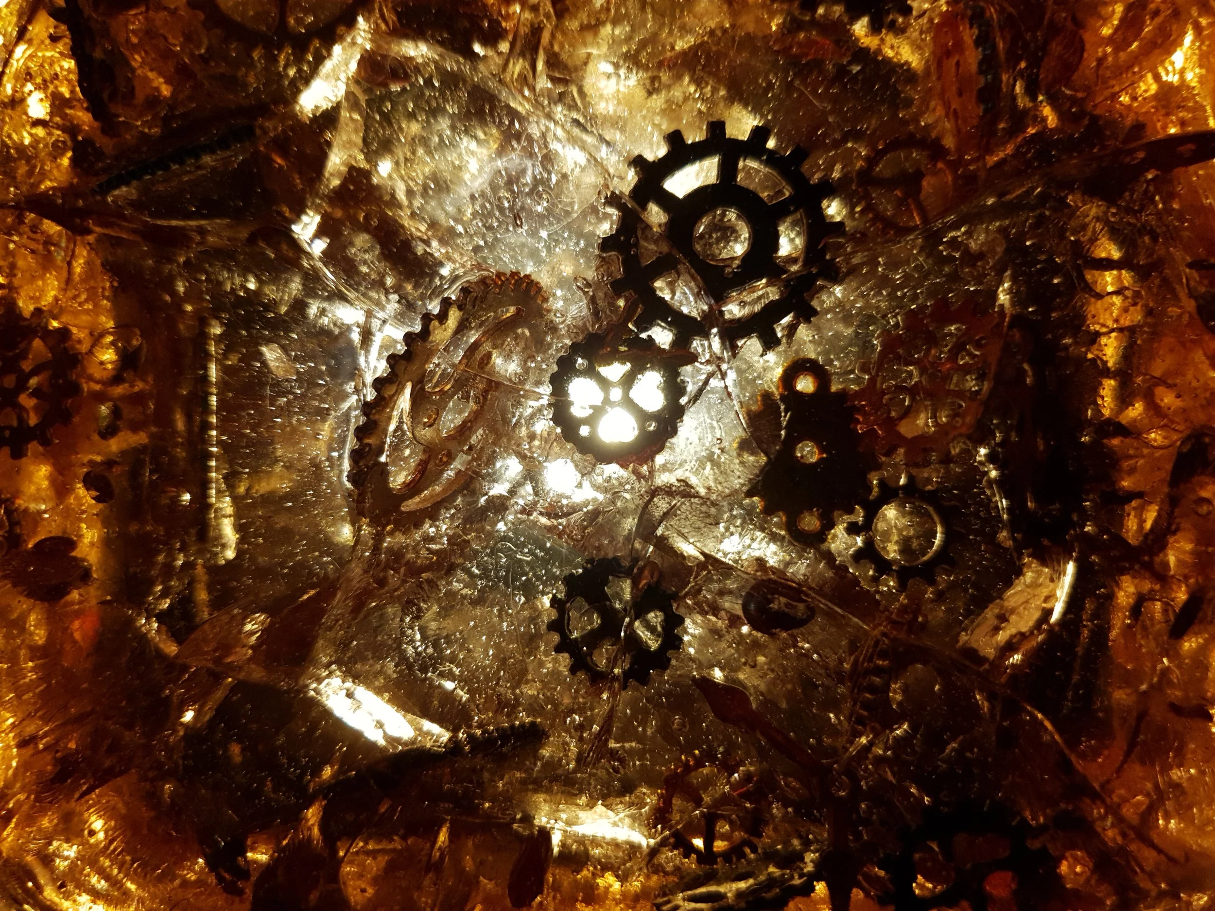 20210630_171930.jpg