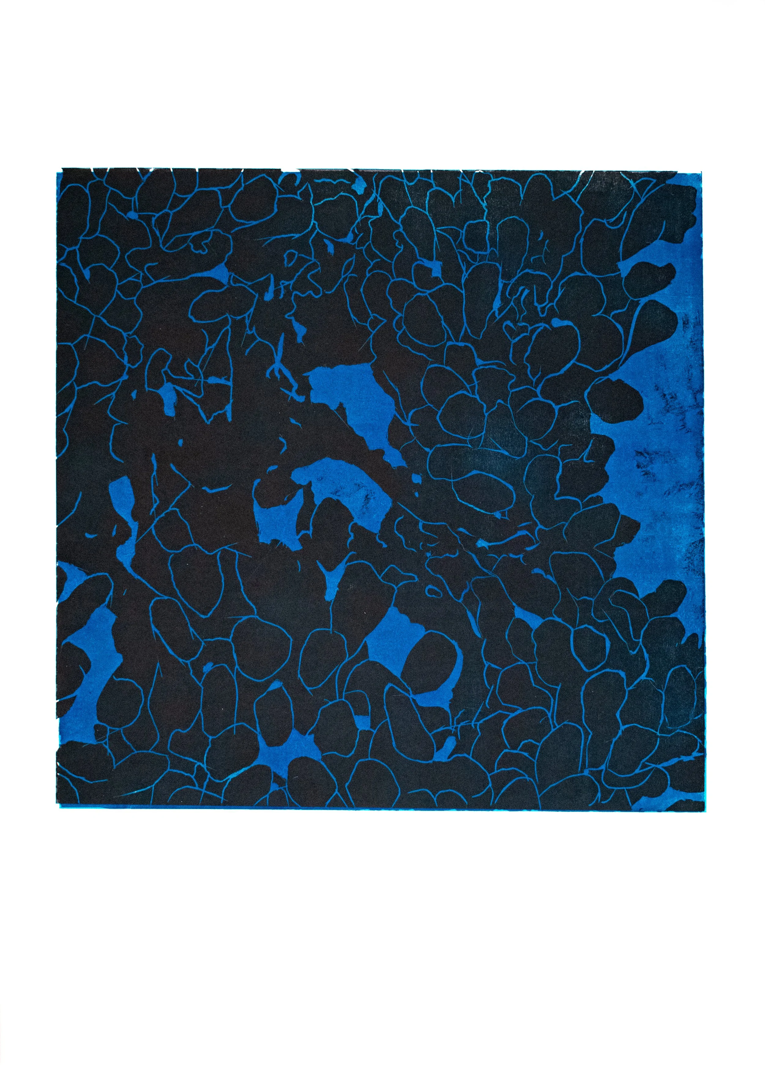 Xilogravura
60x84 cm
Papel Fabriano