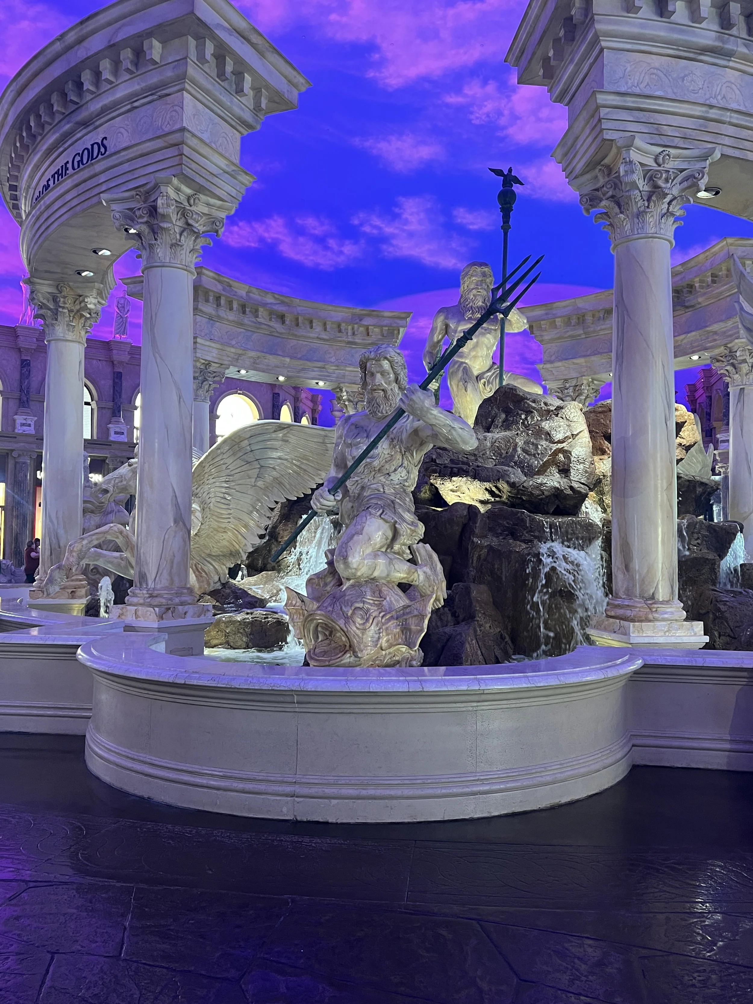 the bug &amp; the windshield