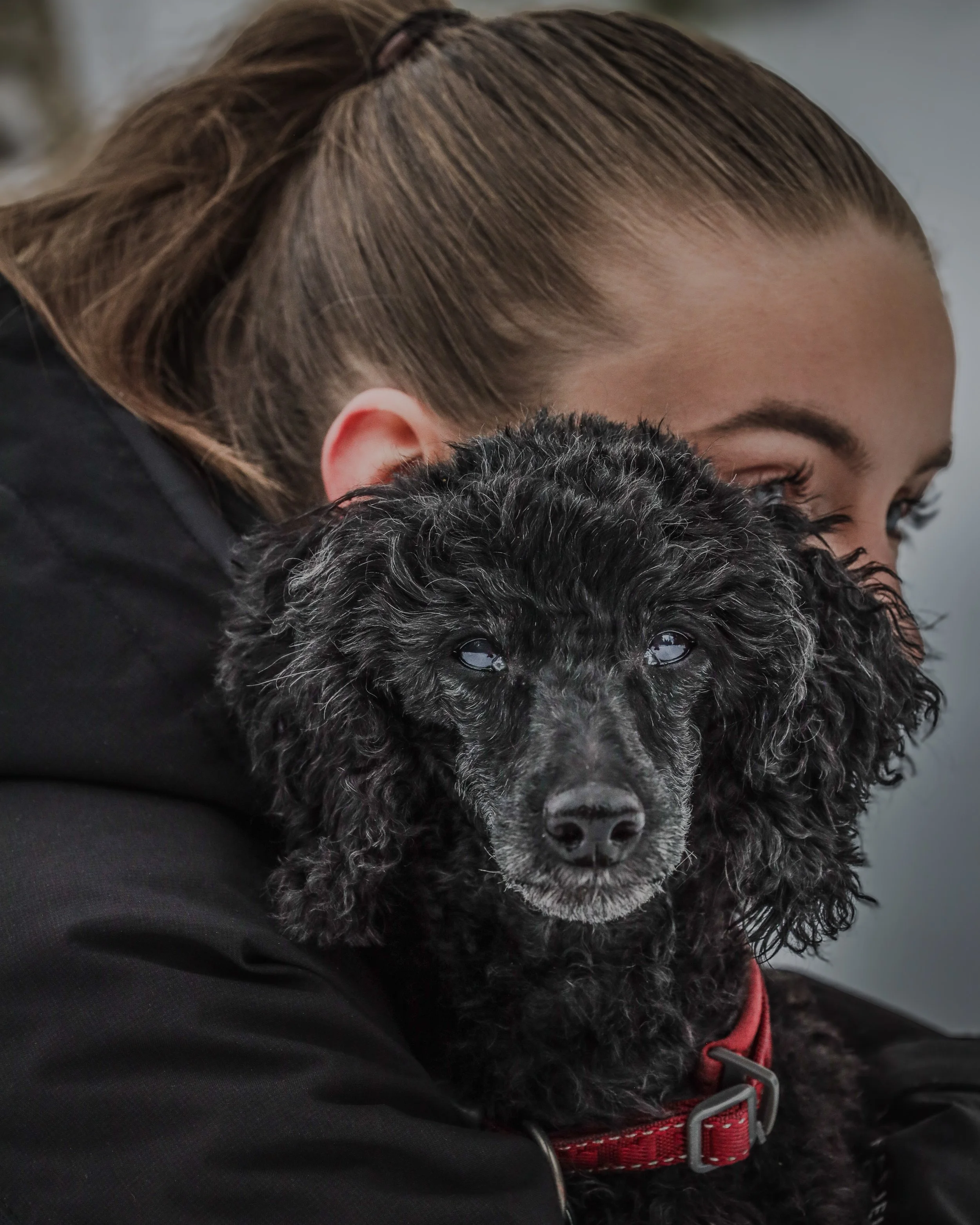 Laban: Et siste minne