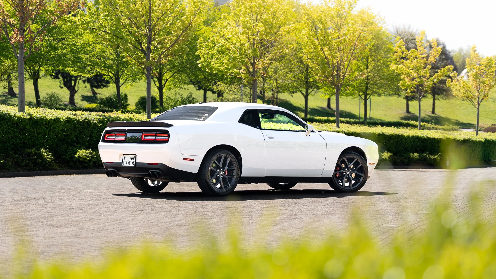 A white Dodge Challenger with black wheels parked on a paved road with green trees and bushes in the background.