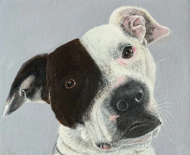 Ms Stevie portrait.jpg