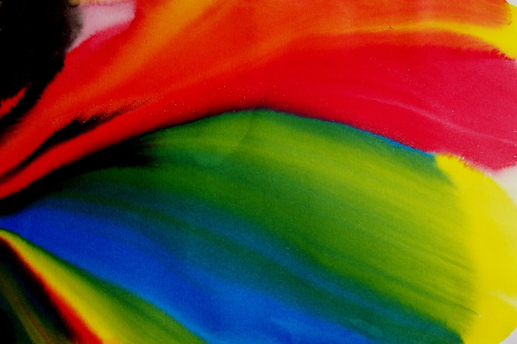 Visual Vibrations I Acrylic - 18 x 26.JPG