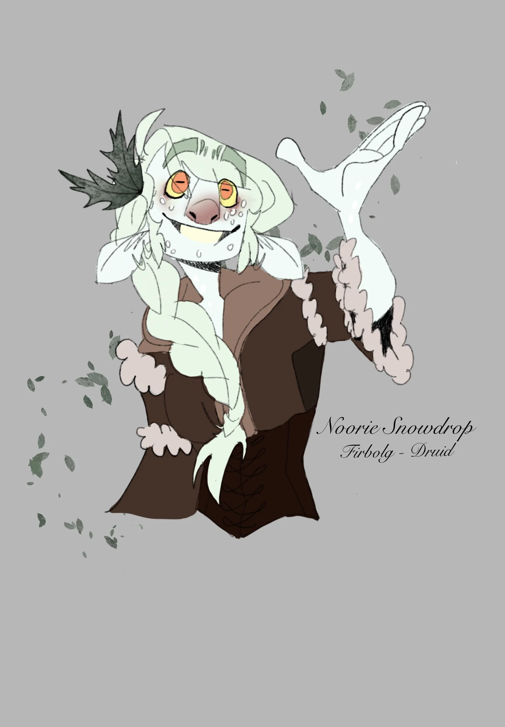 Dungeons and Dragons Character: Noori