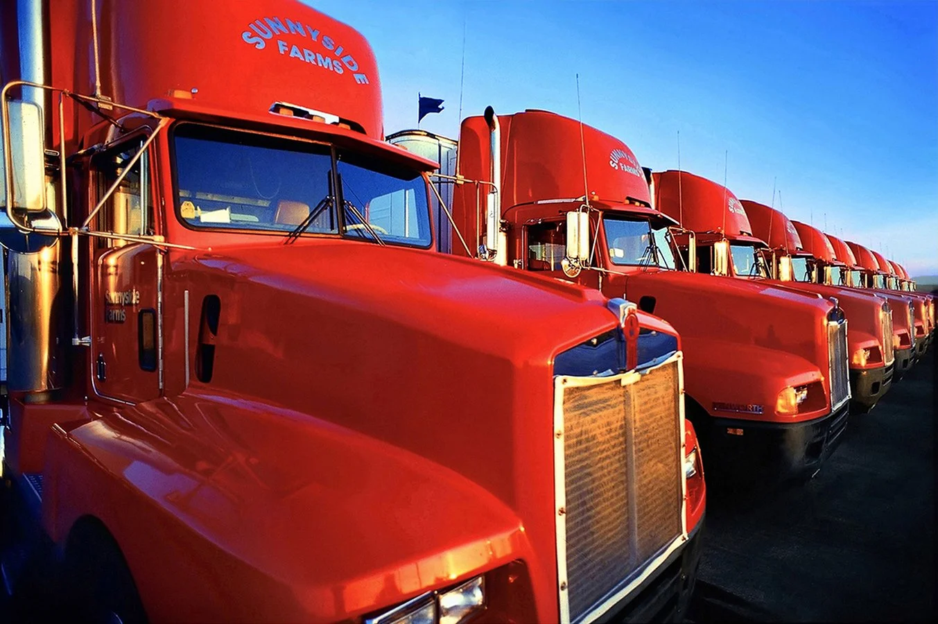Sunnyside Farms truck fleet at sunrise 1994 - Vallejo, California - client: Sunnyside Farms