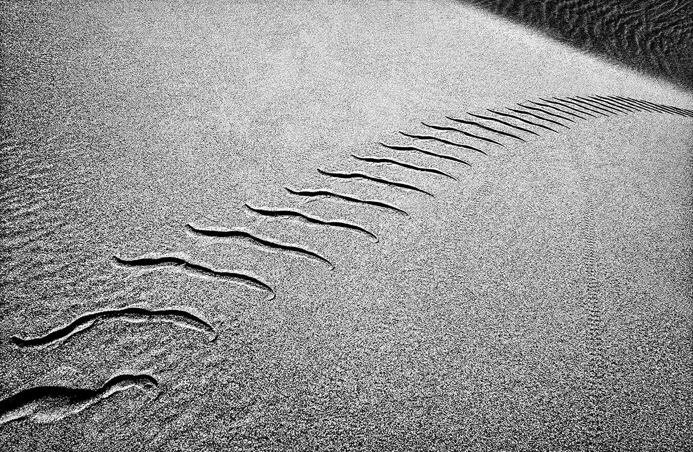 Sidewinder  -  Dunes at Stovepipe Wells  -  Death Valley, California  1993