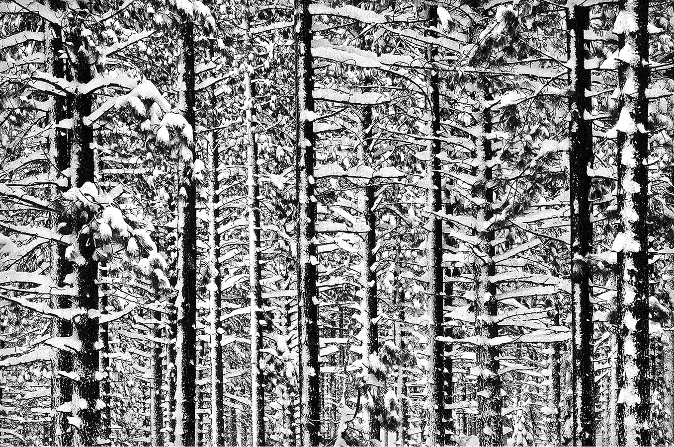 Sierra Nevada Blizzard - Grover Hot Springs, California  1992  -  client: Pacific Gas & Electric