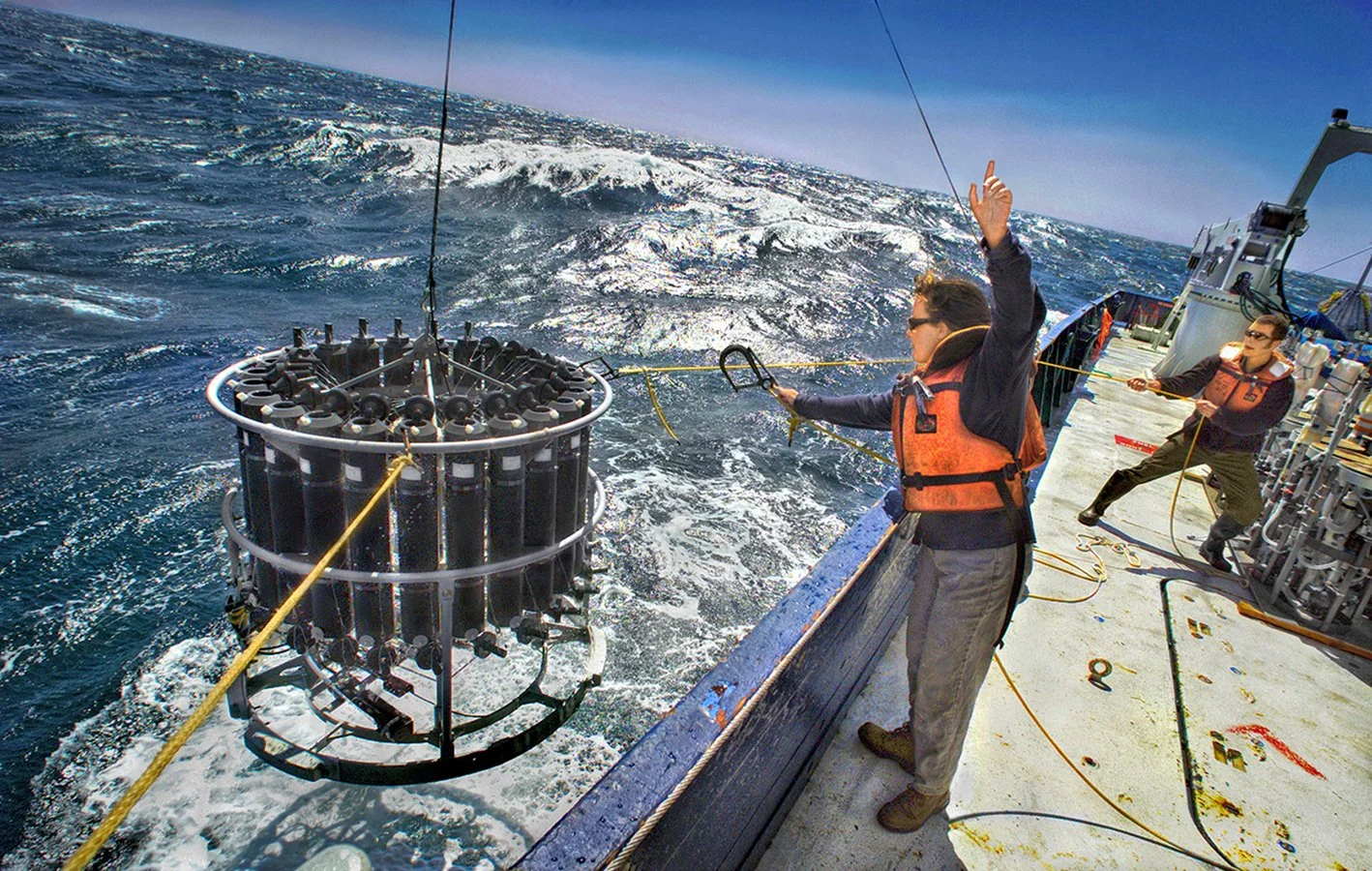 Climate Research - testing changes in macrobiotic, iron & temperature - Earth Sciences, LBNL - Pacific Ocean  2001 - client: LBNL/US Dept. of Energy