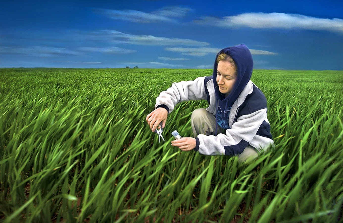 Carbon Sequestration research - wheat fields of Oklahoma - Earth Sciences Division LBNL 2003 - client: LBNL/US Dept. of Energy