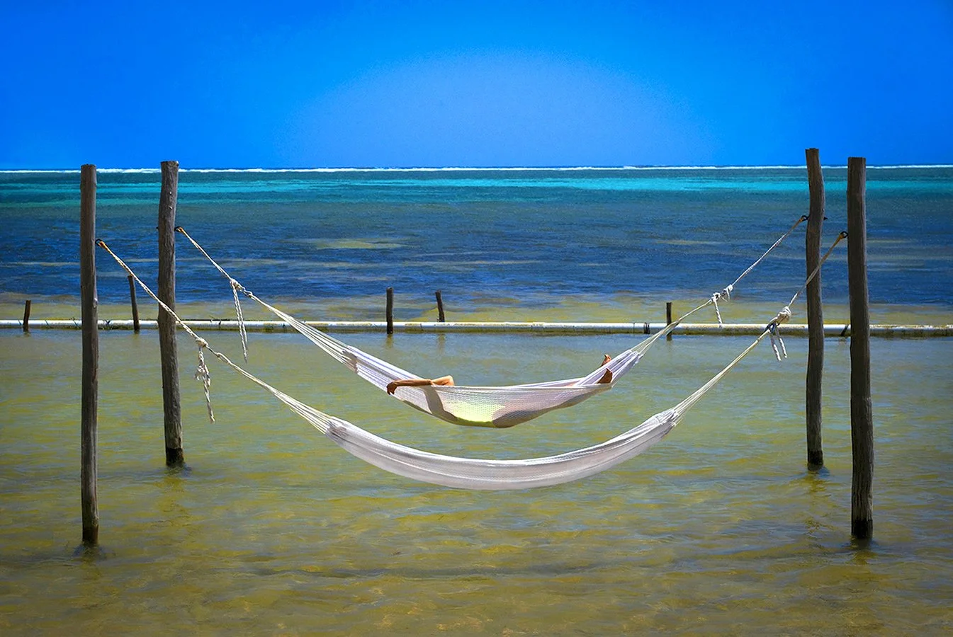 Raffi & Hammocks - Caribbean Sea - Ambergris Kaye - Belize 2023
