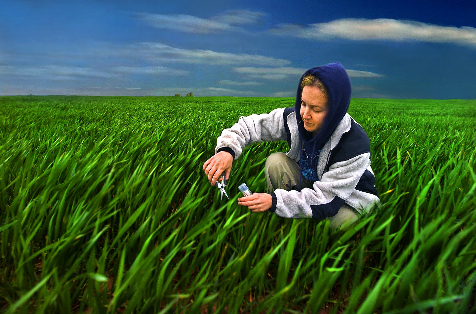 Carbon Sequestration research -LBNL Earth Sciences Division - Wheat fields of Oklahoma  2003 - client: US dept. of Energy