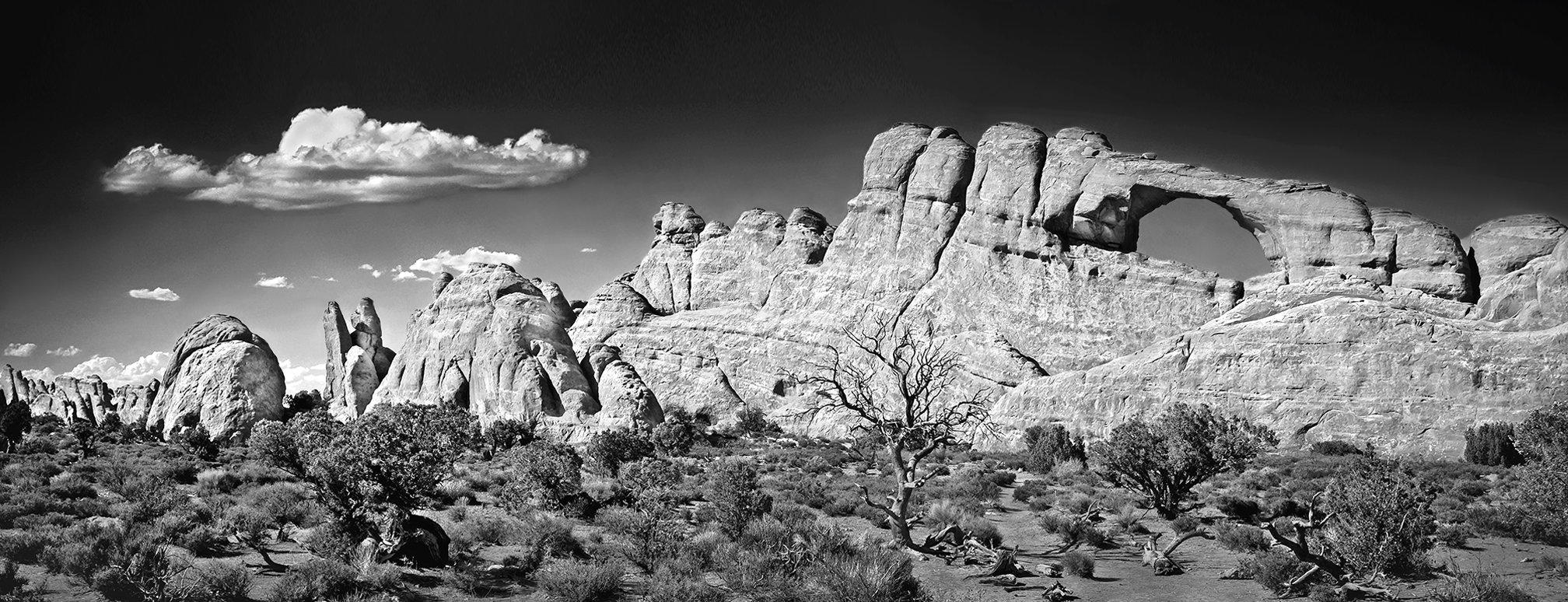 Arches National Park - Moab, Utah 2008