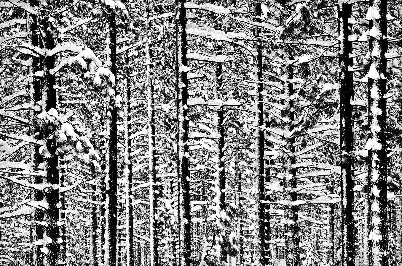 Snow Blizzard of 1992 - 10 feet of snow @6-7,000 foot level of High Sierras - Grover Hot Springs, California 1992 - client: Pacific Gas & Electric