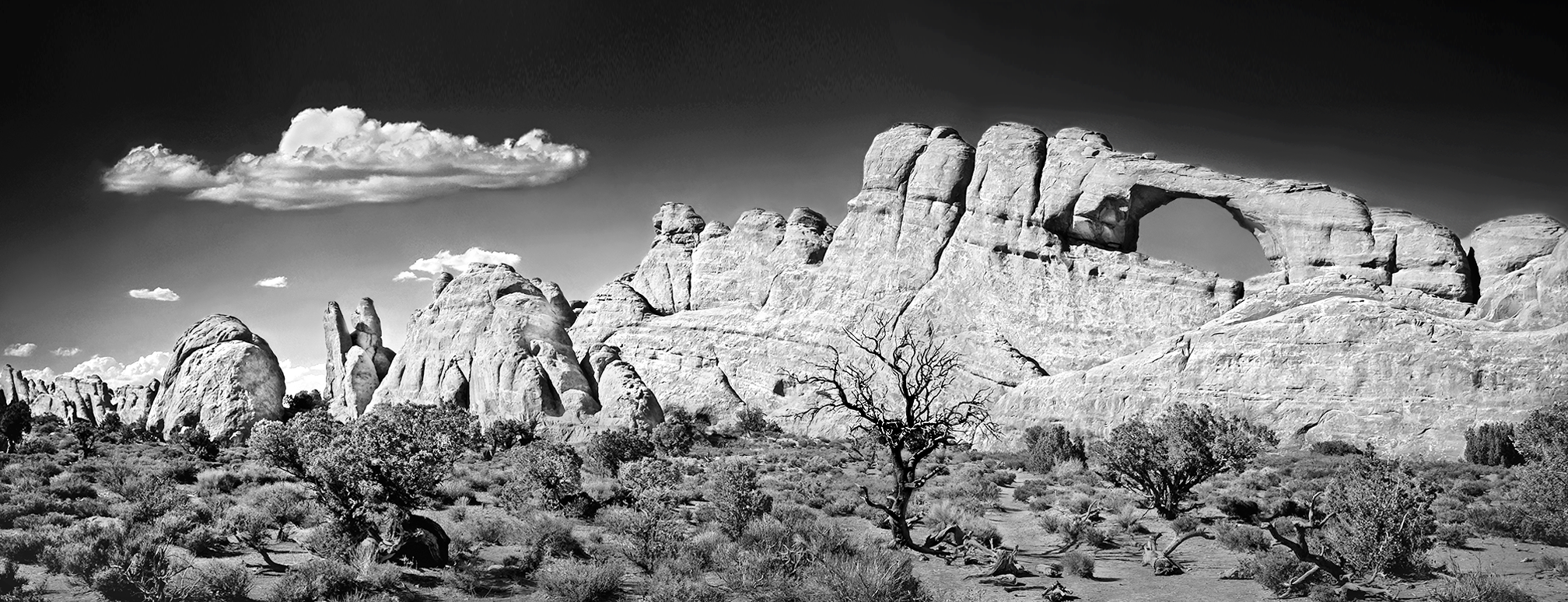 Arches National Park - Moab, Utah 2008