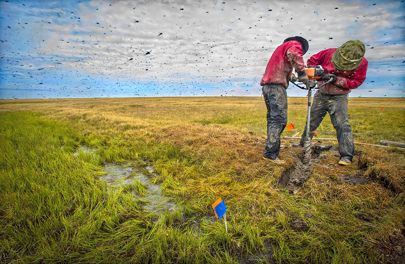 Permafrost core drilling - DOE/NGEE Project - Utqiagvik (Barrow), northern Arctic coast, Alaska 2013 - client: US Dept. of Energy