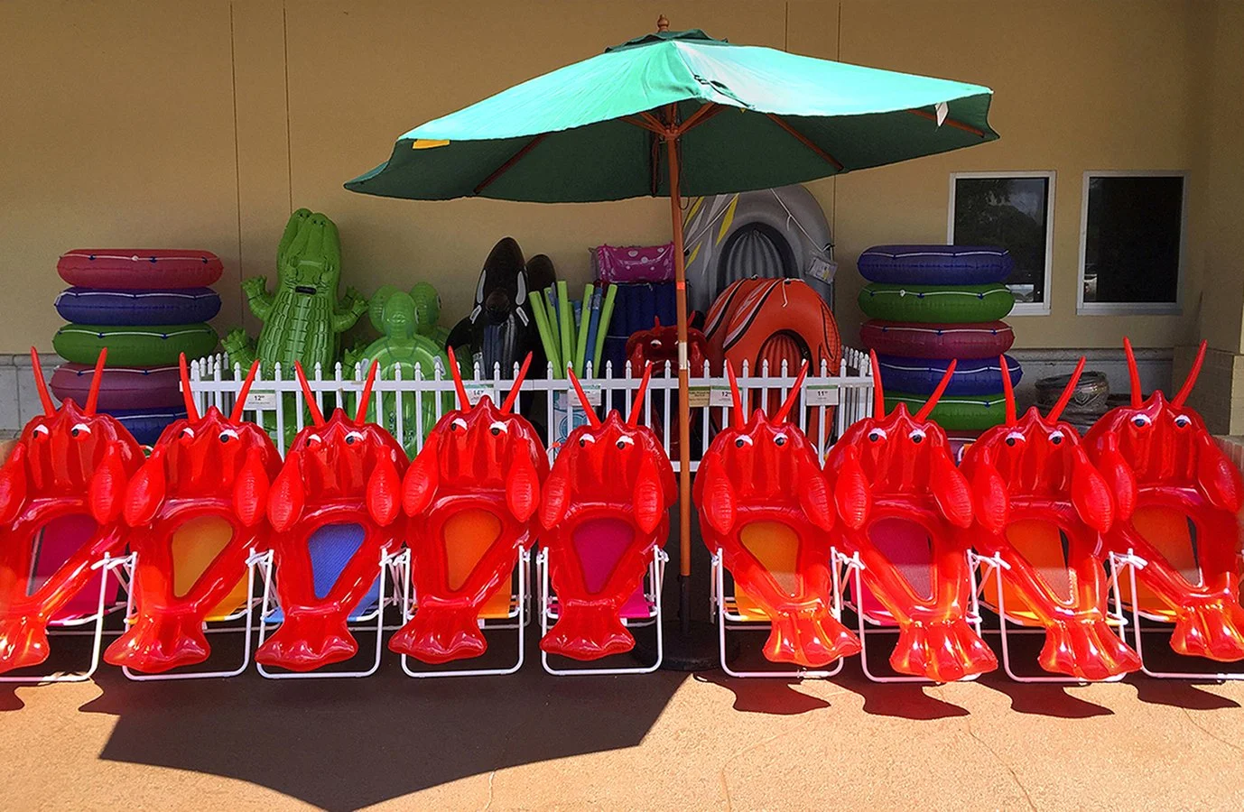 Red lobsters at the pool - Sarasota, Florida 2016