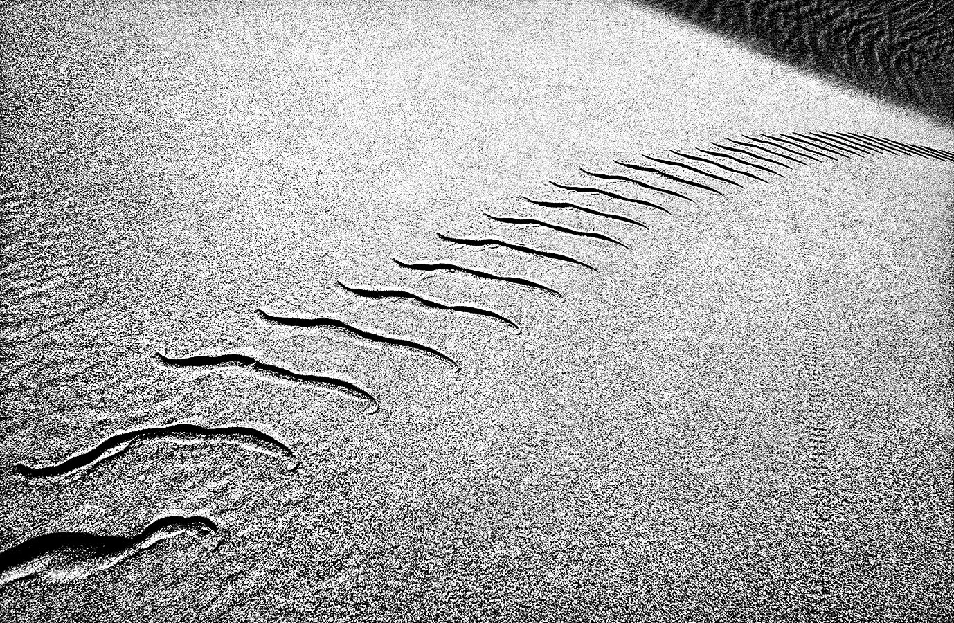Sidewinder  -  Dunes at Stovepipe Wells  -  Death Valley, California  1993 - client: Pacific Gas & Electric