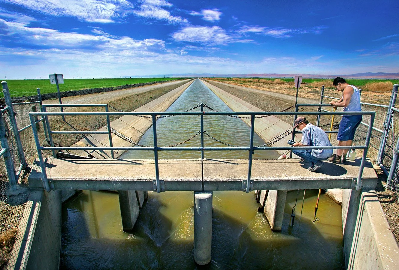 Algae growth research - Central Valley - San Luis Canal - California Aqueduct  2003 - client: US Dept. of Energy/Earth Sciences/LBNL