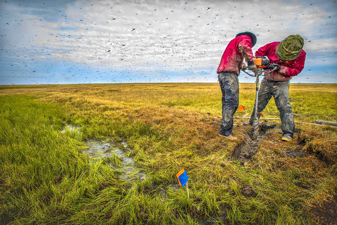 Permafrost core sampling - Permafrost Breakdown Alaska Project 2013 - client:  NGEE/DOE/LBNL Earth Sciences - Utqiagvik (Barrow), Alaska - most northern point Alaska 