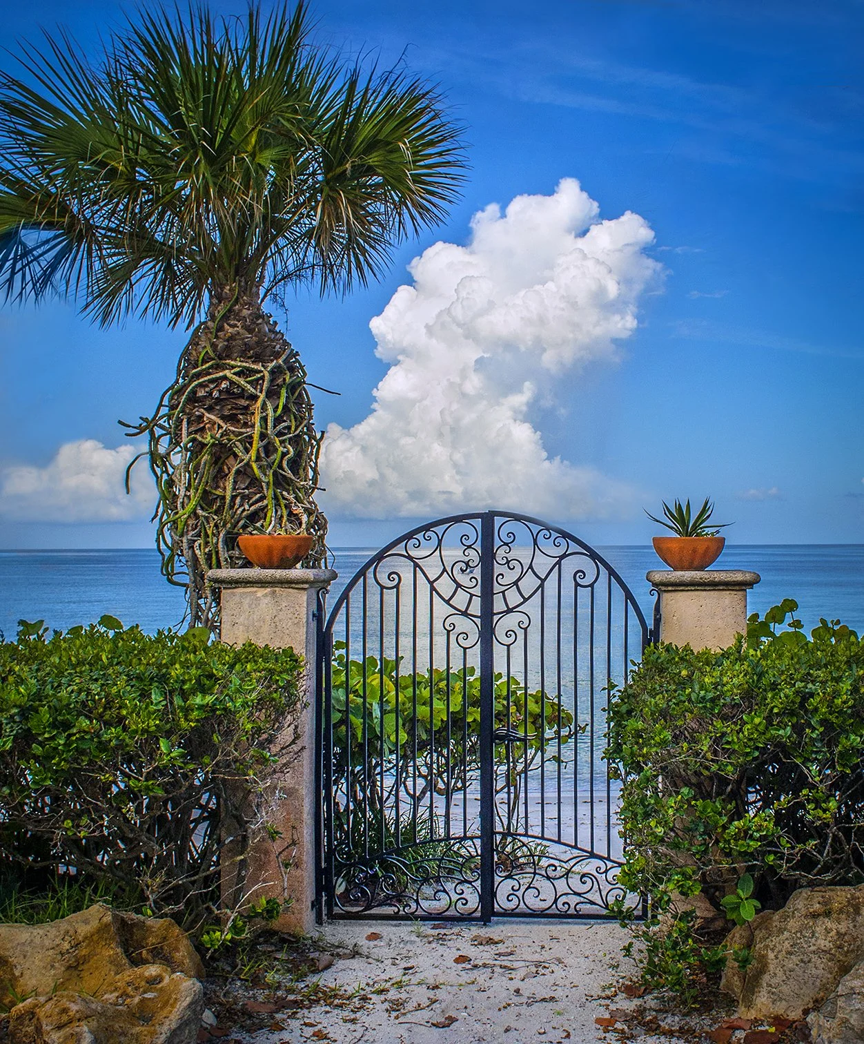 Gateway to Gulf  -  Gulf of Mexico  -  Casey Key, Florida 2018
