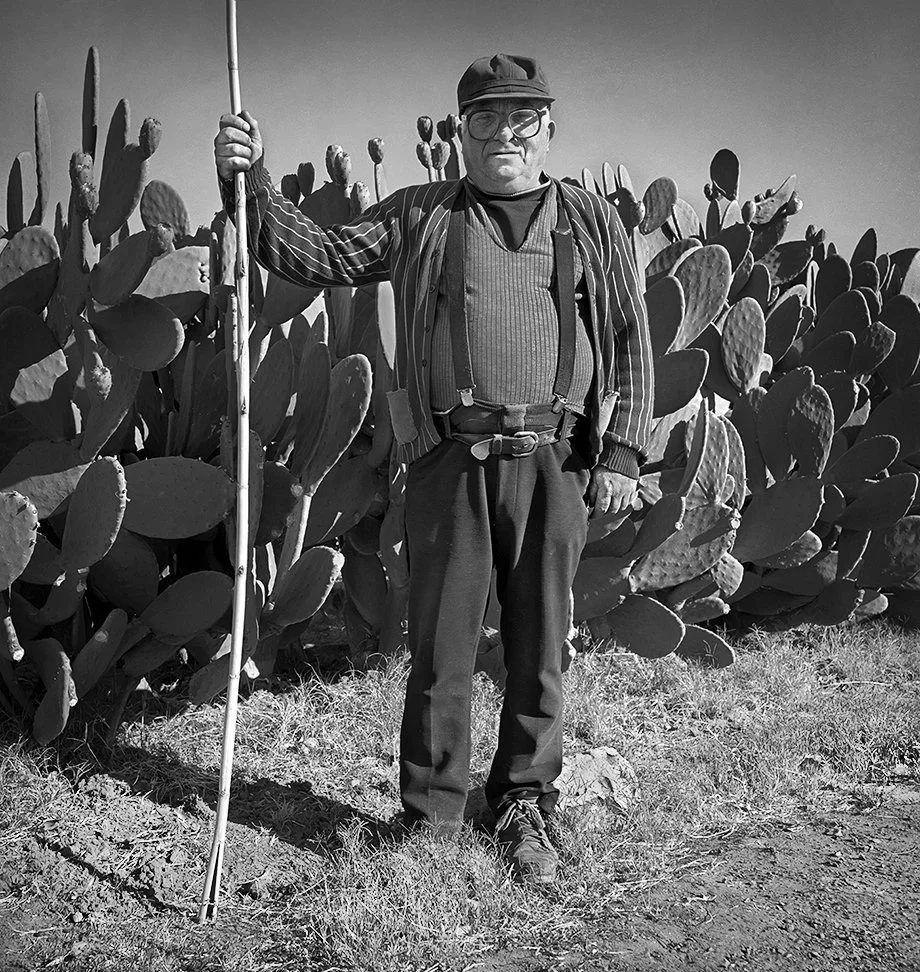 Russian prickly pear cactus grower  -  Brentwood, California  1992 - Hasselblad 500cm