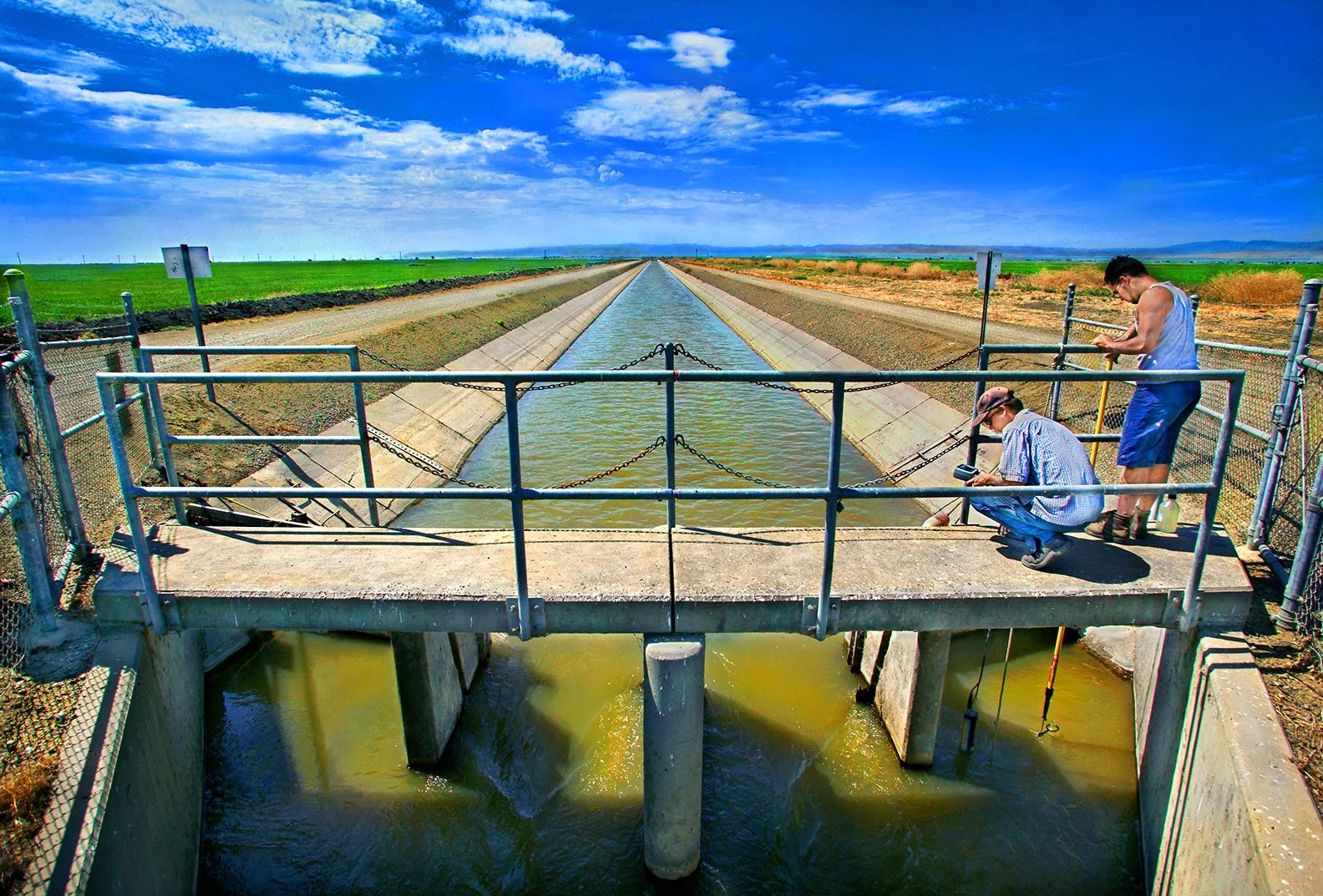 Algae growth research - Central Valley - San Luis Canal - California Aqueduct  2003 - client: US Dept. of Energy/Earth Sciences/LBNL