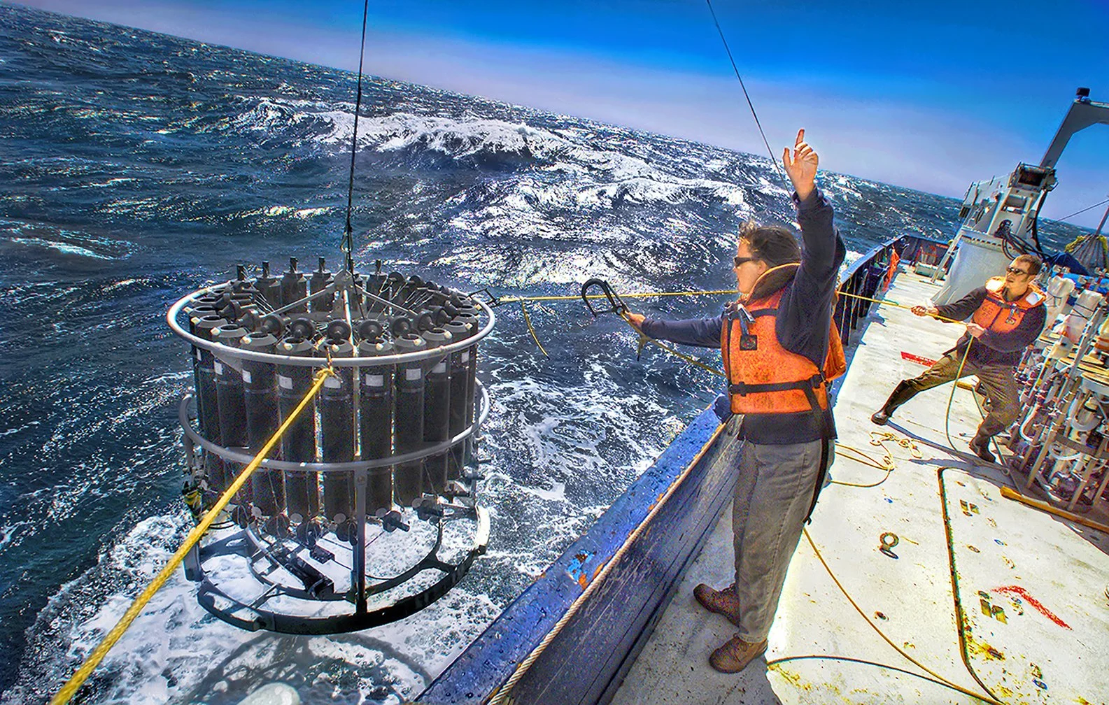 Climate Research - testing changes in macrobiotic, iron & temperature - Earth Sciences, LBNL - Pacific Ocean  2001 - client: US Dept. of Energy/LBNL Earth Sciences
