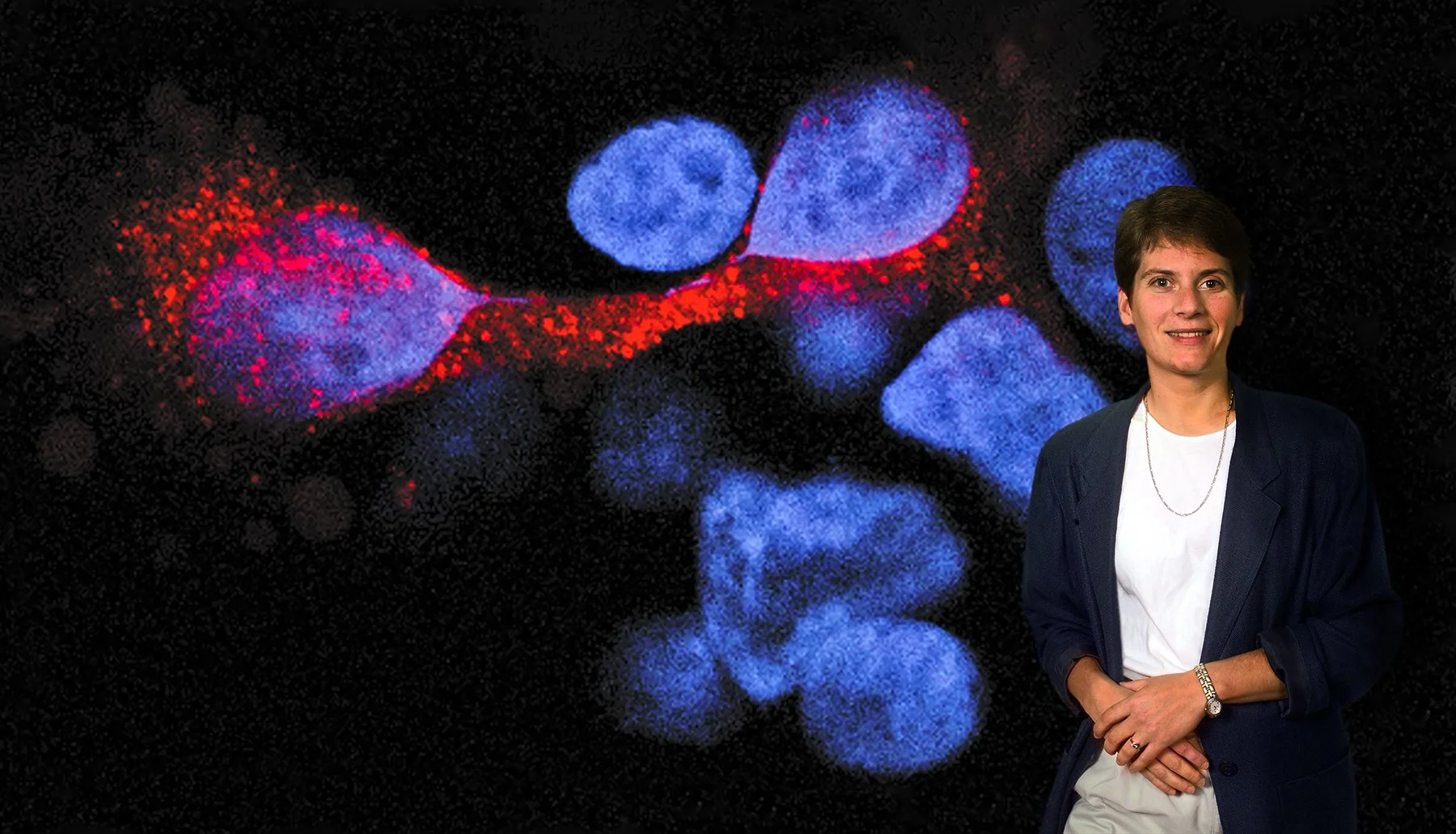 Carolyn Bertozzi with divided cell collage 2002 - Berkeley Lab Chemist & Molecular Foundry Director - awarded Nobel Prize in Chemistry 2022 - development of click and bioorthogonal chemistry - DOE  