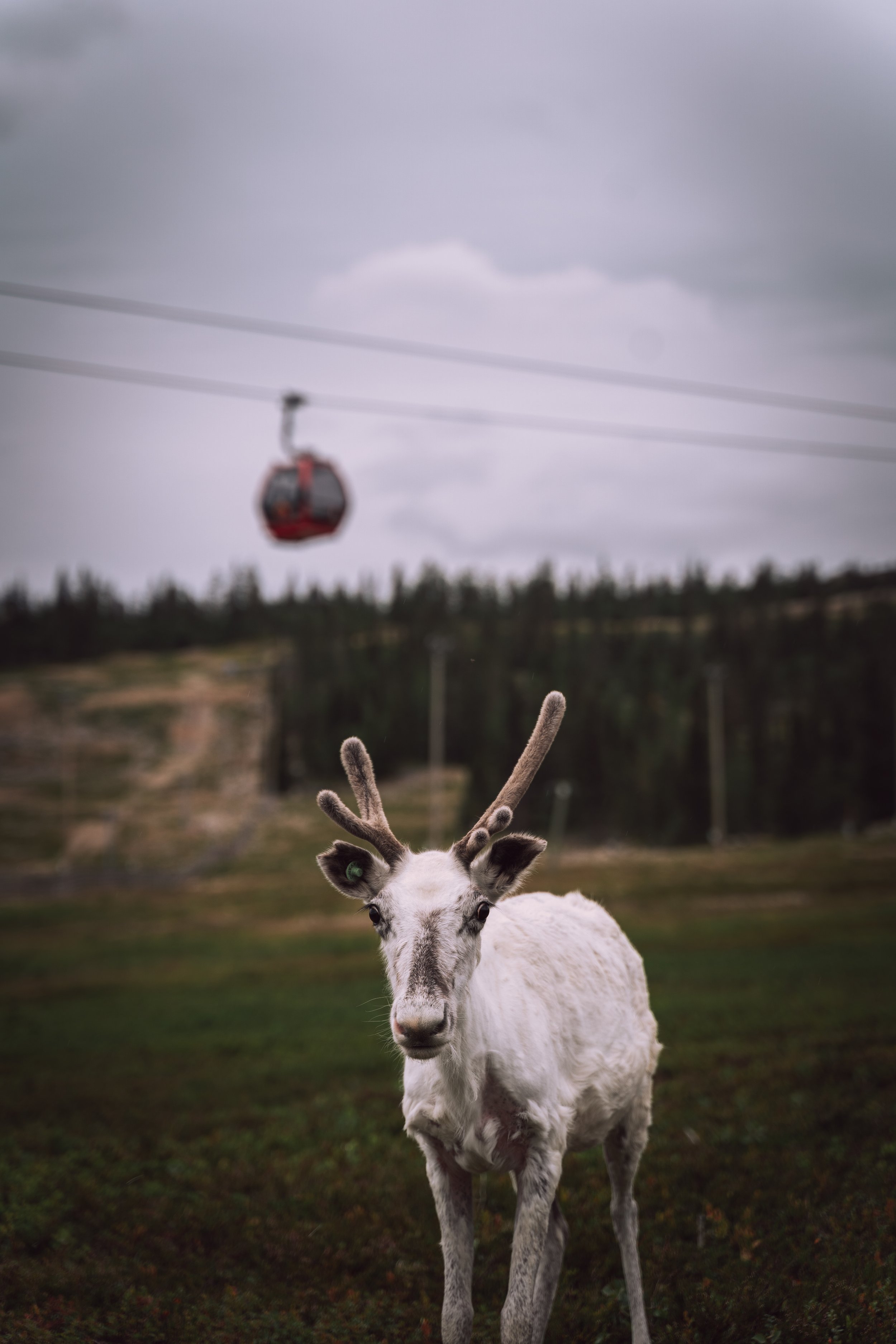 portfolio-7.jpg