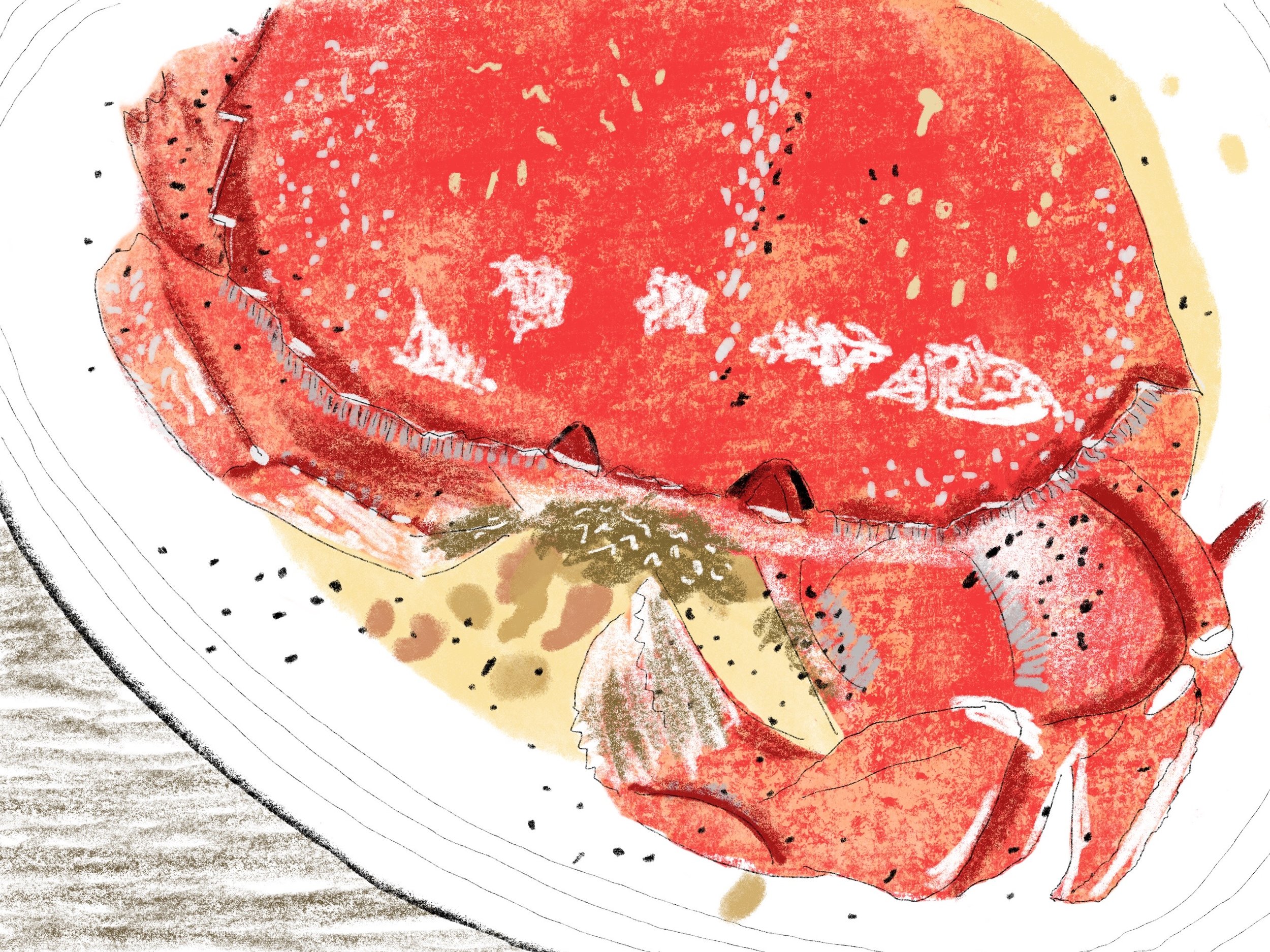 Food Series, Crab